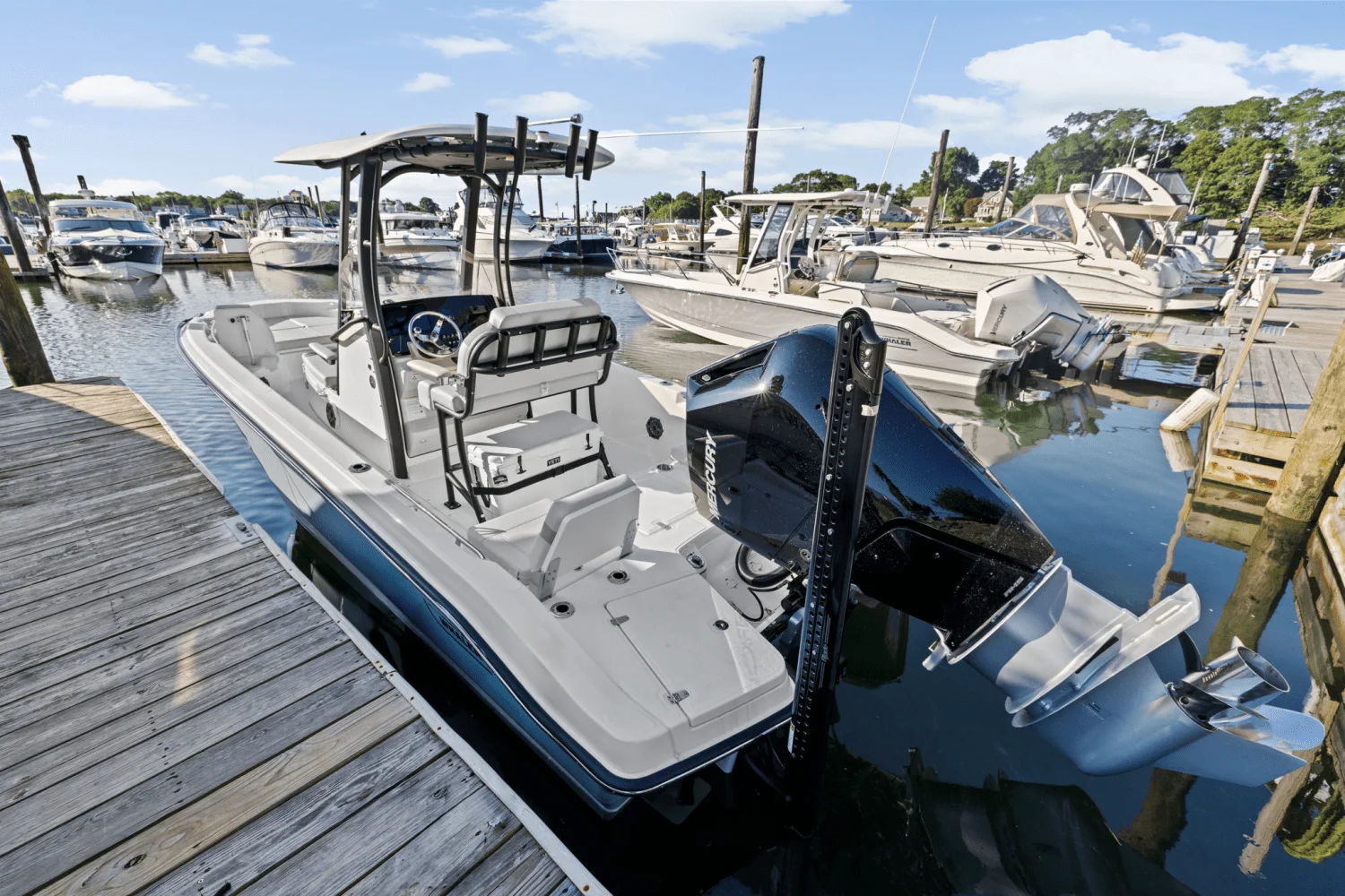 2025 Boston Whaler 250 Dauntless Image Thumbnail #10