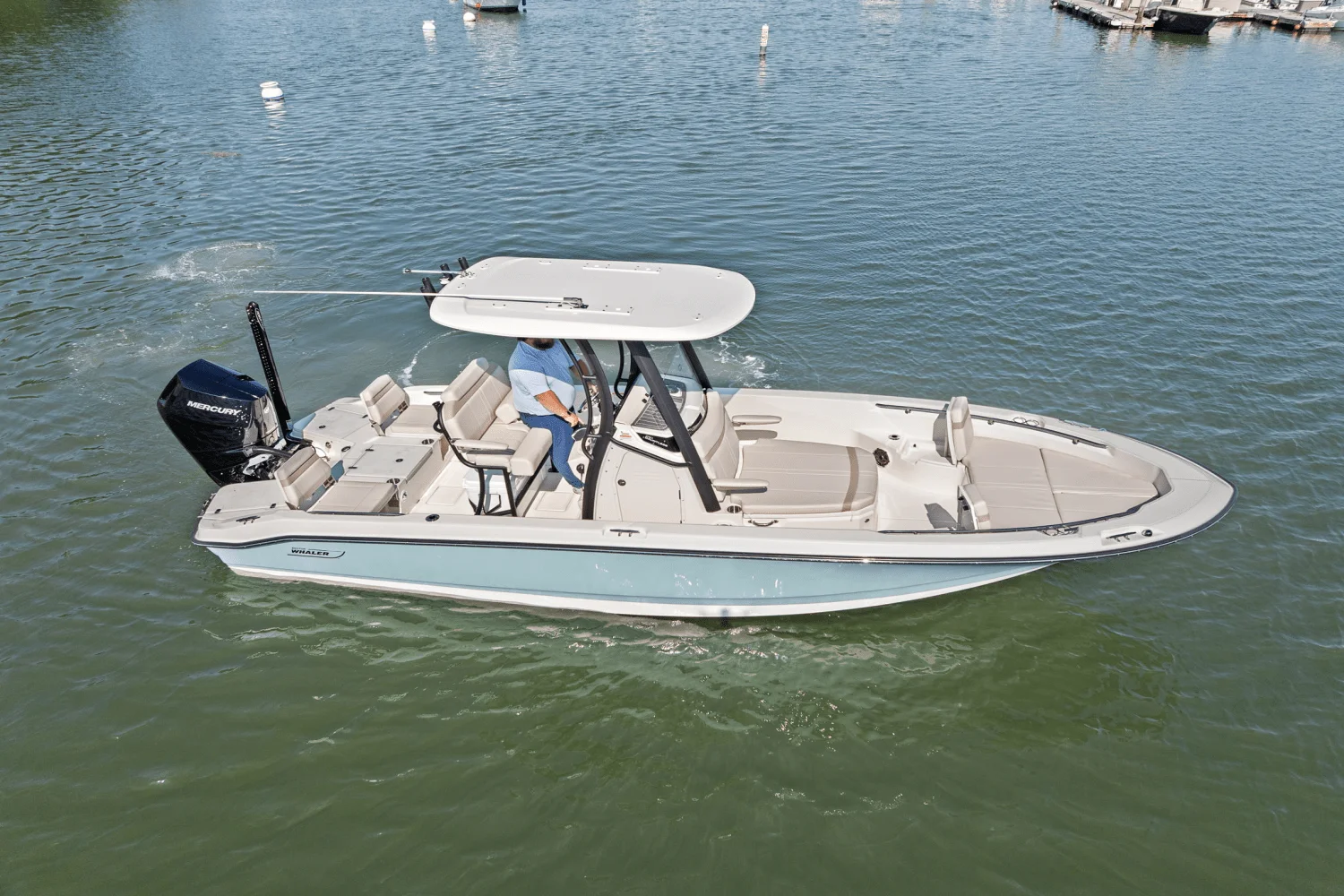 2025 Boston Whaler 250 Dauntless Image Thumbnail #71