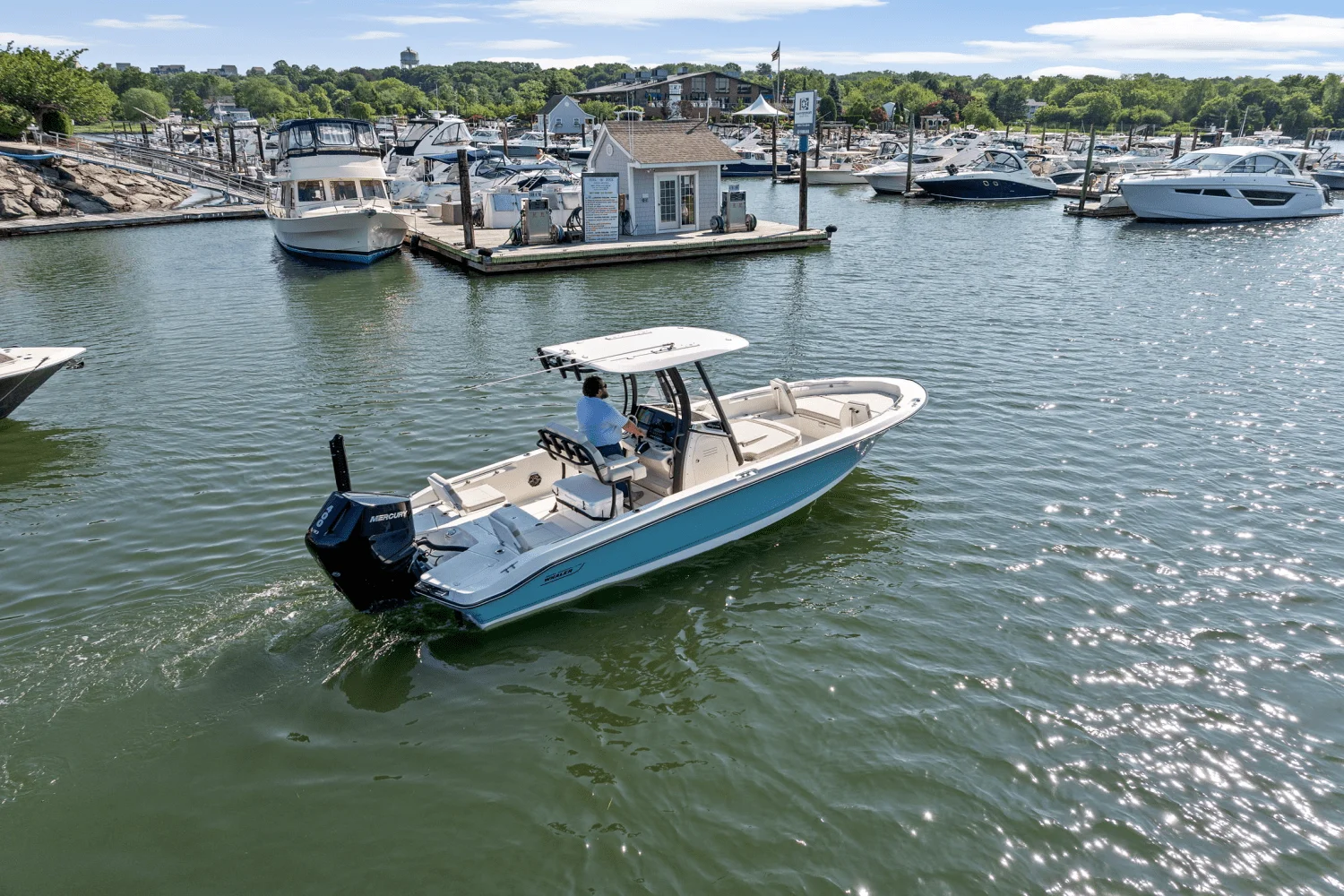 2025 Boston Whaler 250 Dauntless Image Thumbnail #66