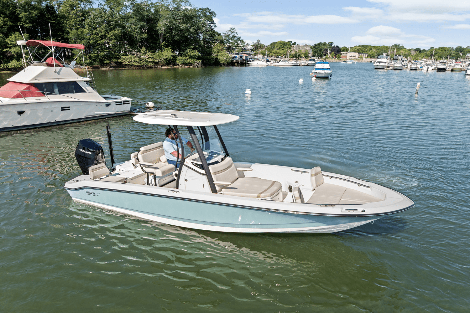 2025 Boston Whaler 250 Dauntless Image Thumbnail #5
