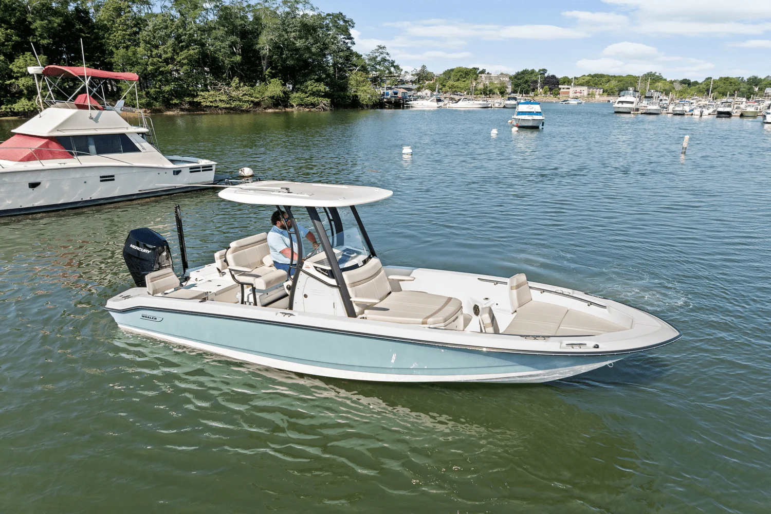 2025 Boston Whaler 250 Dauntless Image Thumbnail #5