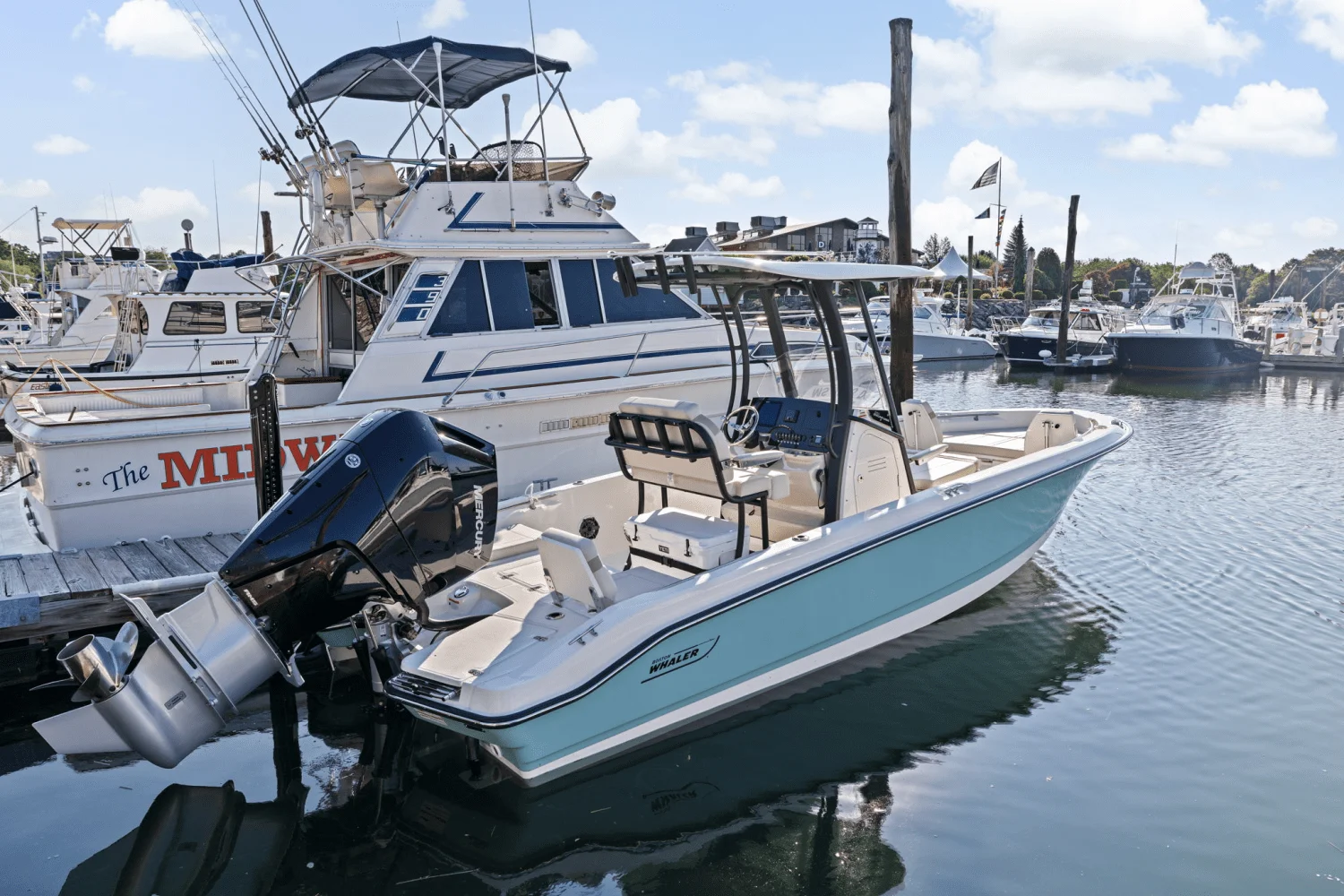 2025 Boston Whaler 250 Dauntless Image Thumbnail #8