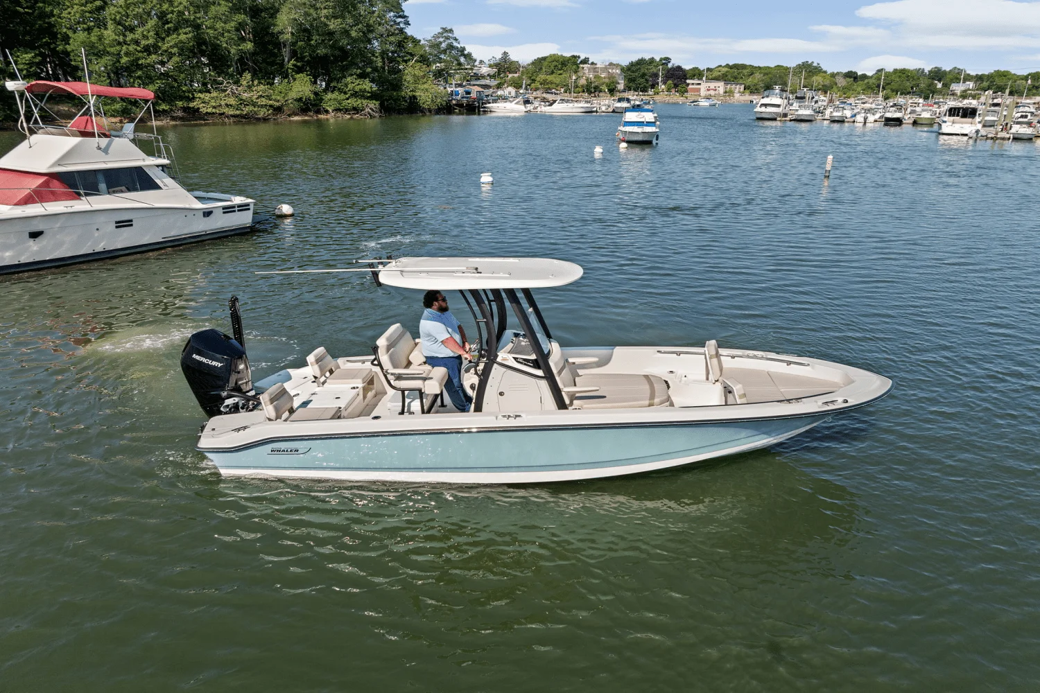 2025 Boston Whaler 250 Dauntless Image Thumbnail #73