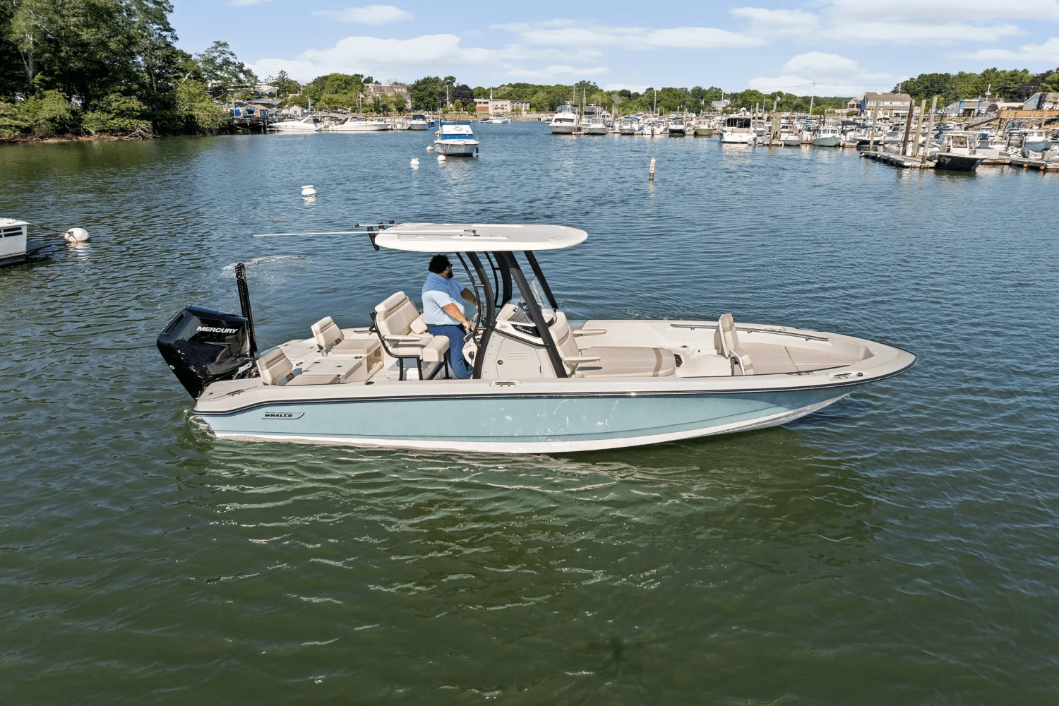 2025 Boston Whaler 250 Dauntless Image Thumbnail #72