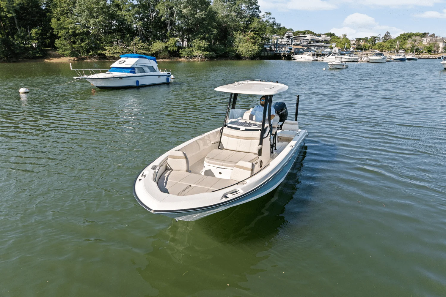 2025 Boston Whaler 250 Dauntless Image Thumbnail #4