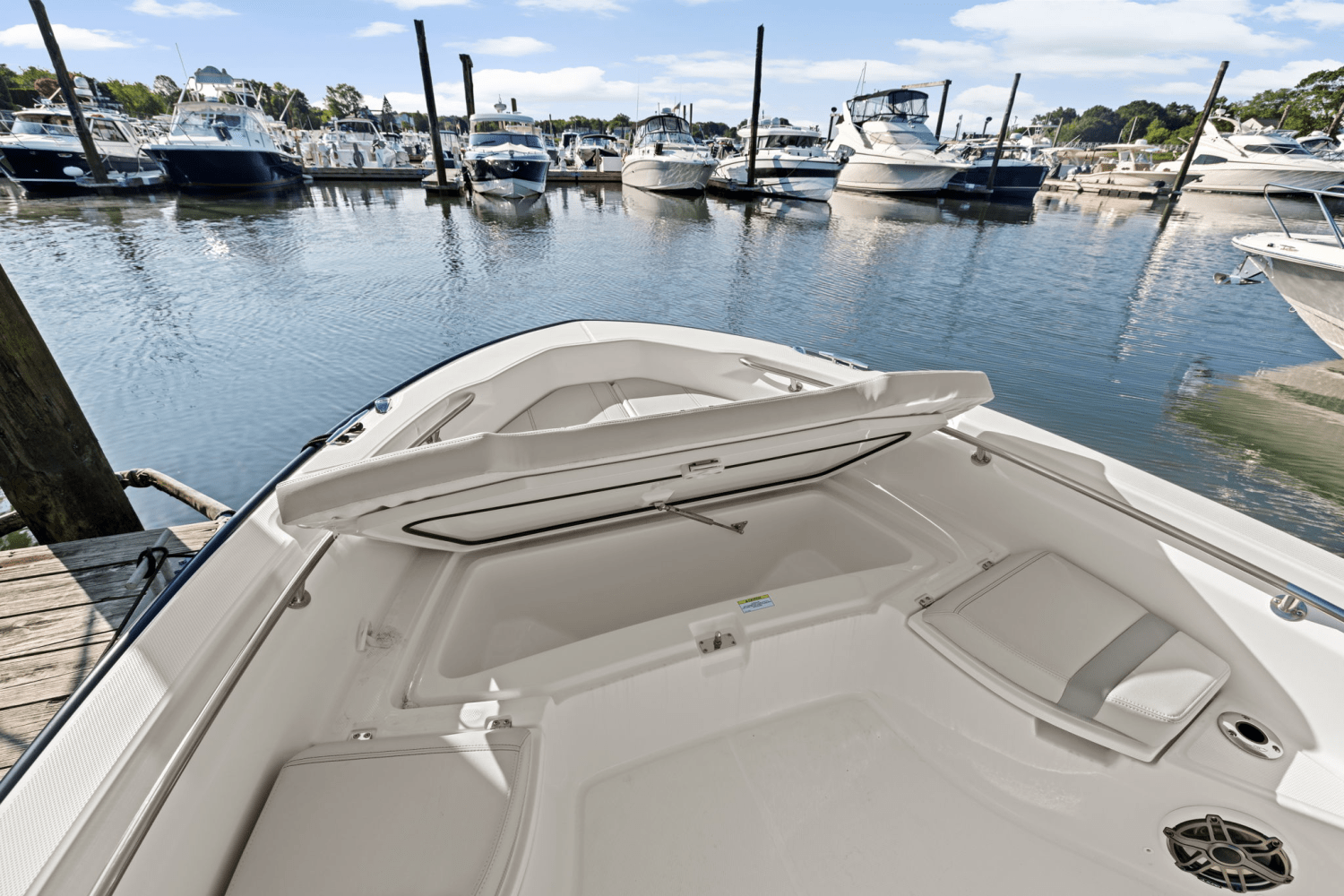 2025 Boston Whaler 250 Dauntless Image Thumbnail #59