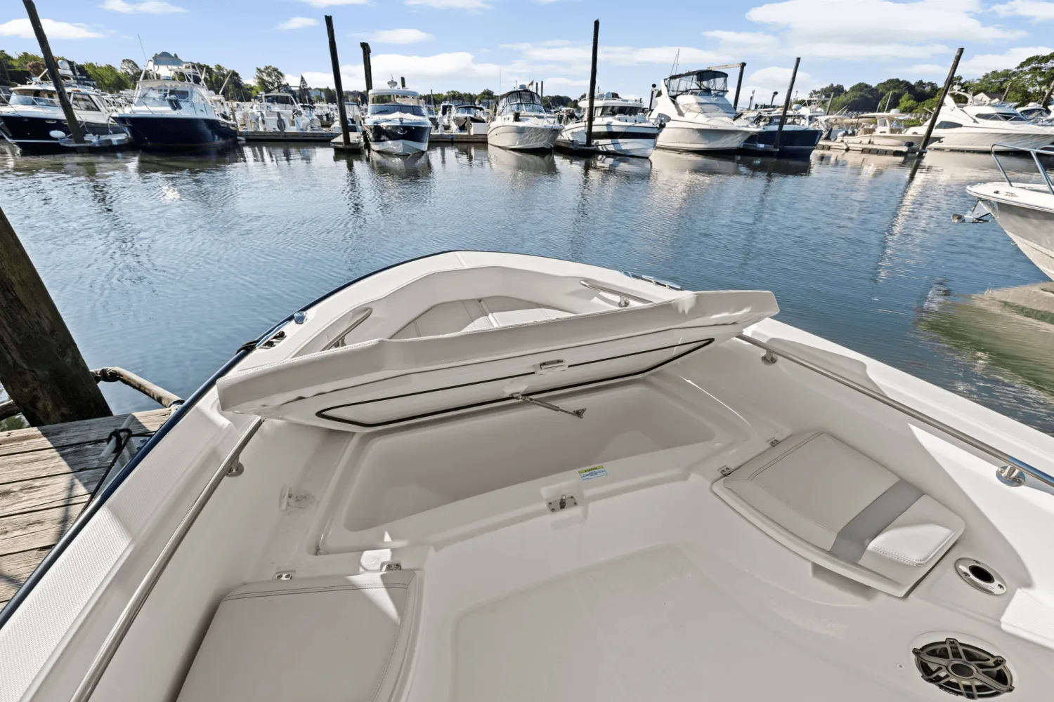 2025 Boston Whaler 250 Dauntless Image Thumbnail #59