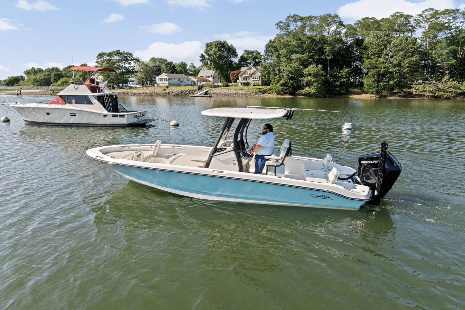 2025 Boston Whaler 250 Dauntless Image Thumbnail #70