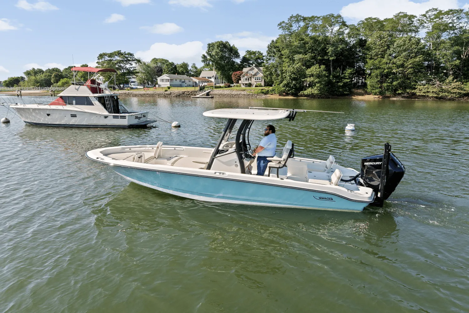 2025 Boston Whaler 250 Dauntless Image Thumbnail #70