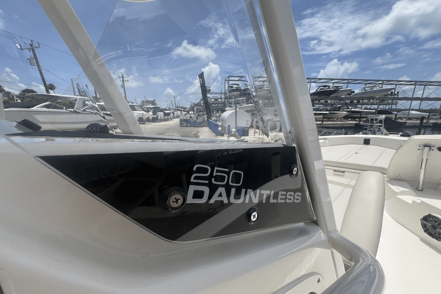2025 Boston Whaler 250 Dauntless Image Thumbnail #18