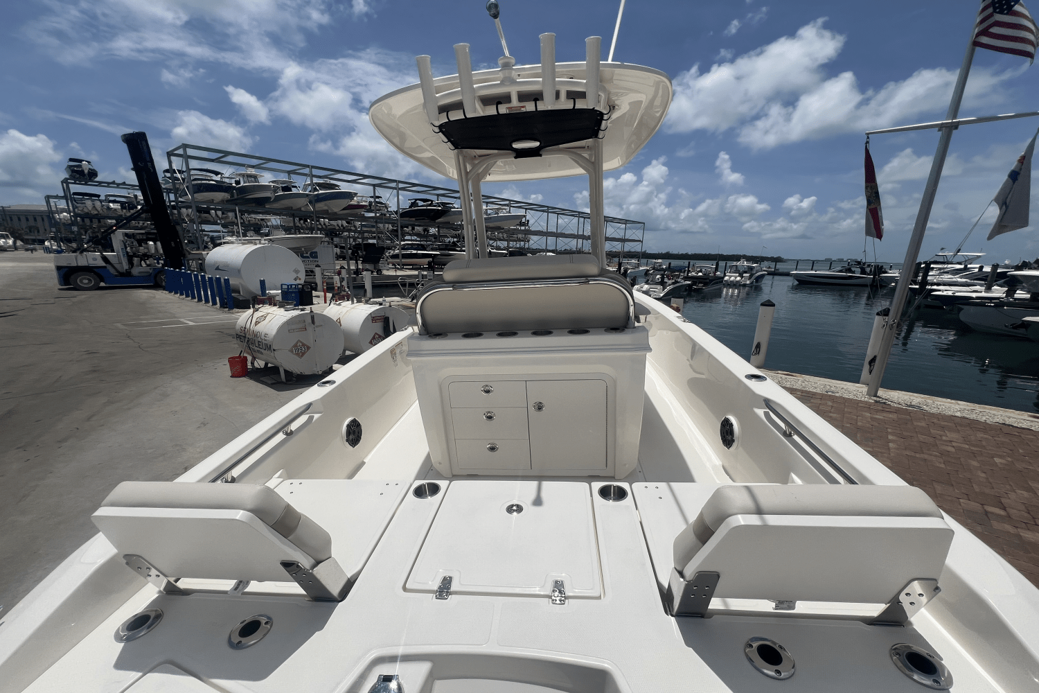 2025 Boston Whaler 250 Dauntless Image Thumbnail #30