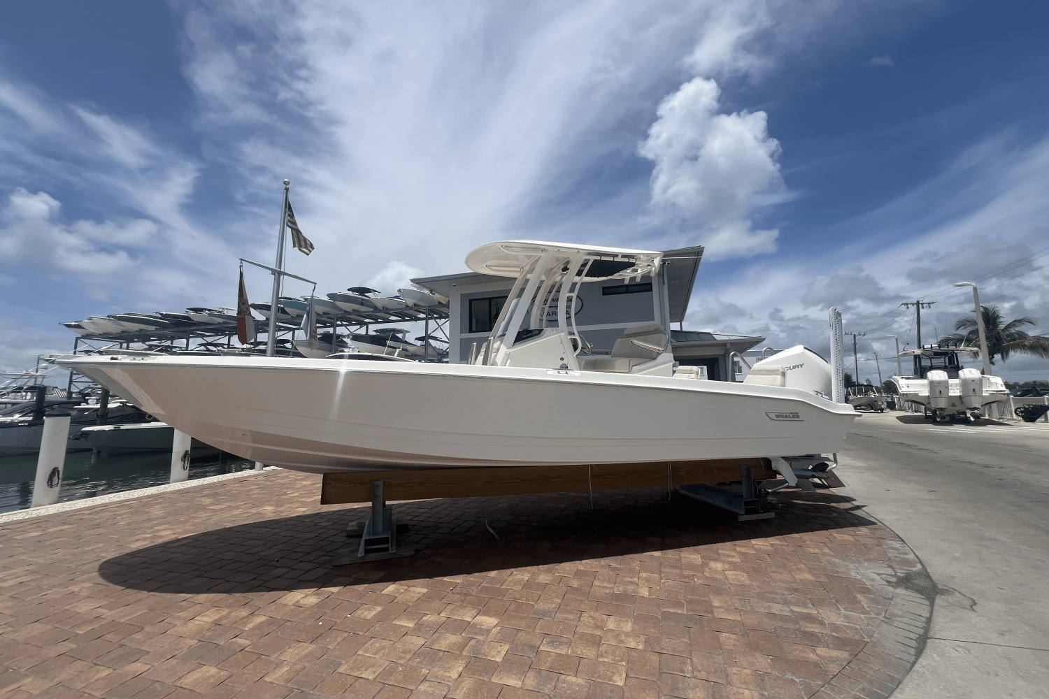 2025 Boston Whaler 250 Dauntless Image Thumbnail #1