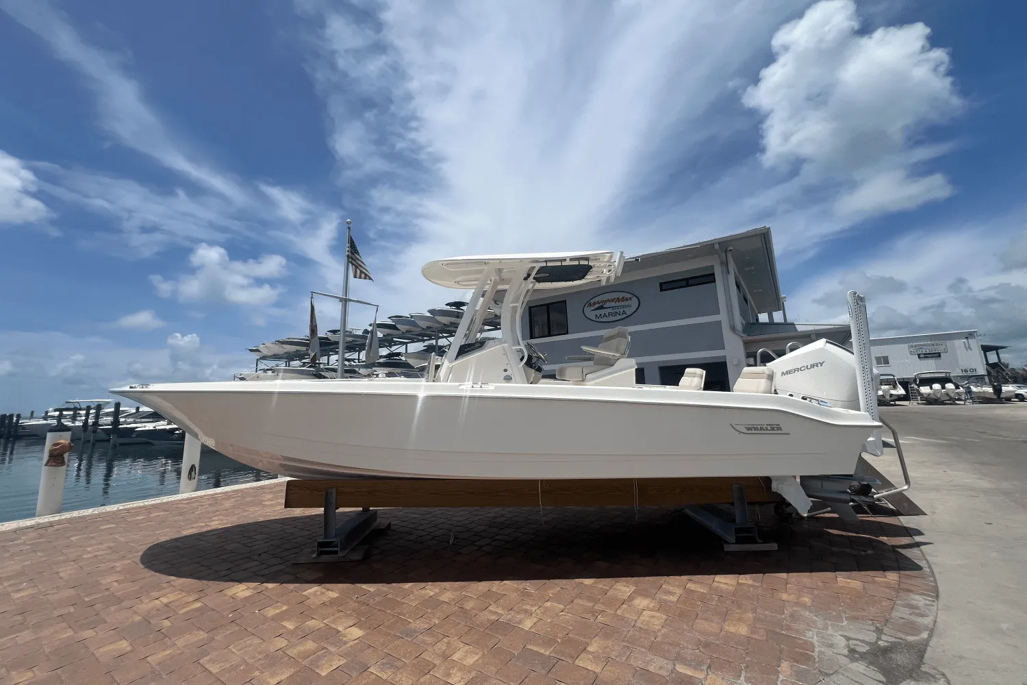 2025 Boston Whaler 250 Dauntless Image Thumbnail #0