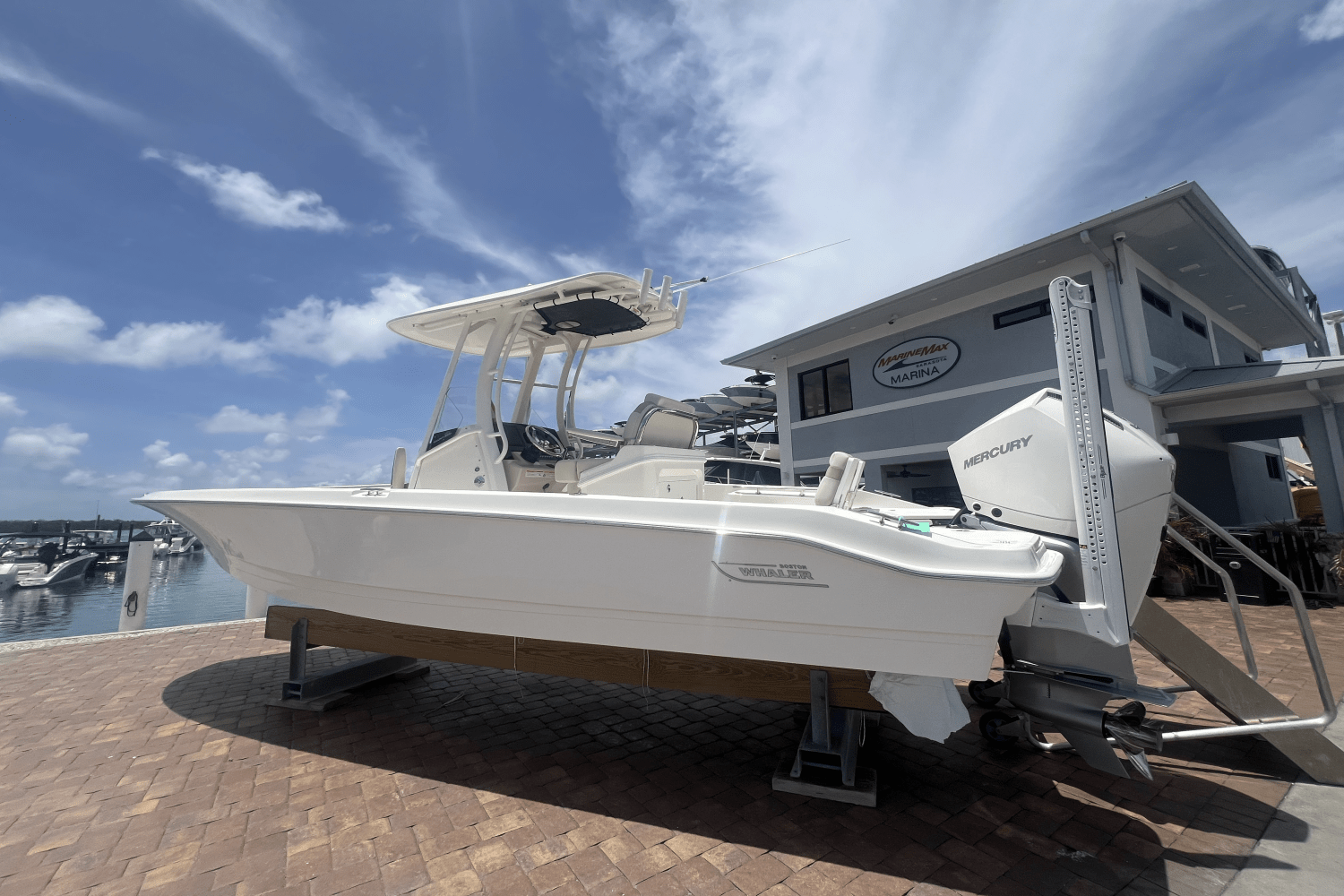 2025 Boston Whaler 250 Dauntless Image Thumbnail #2