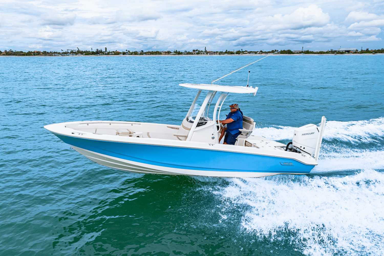 2026 Boston Whaler 250 Dauntless Image Thumbnail #9