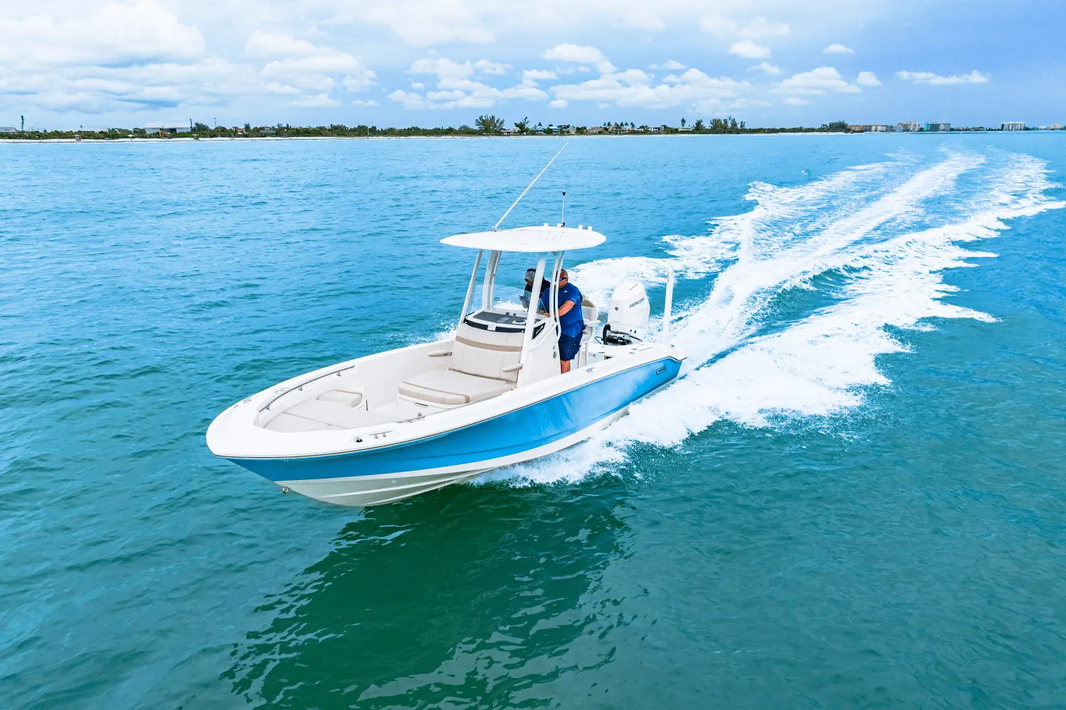 2026 Boston Whaler 250 Dauntless Image Thumbnail #10