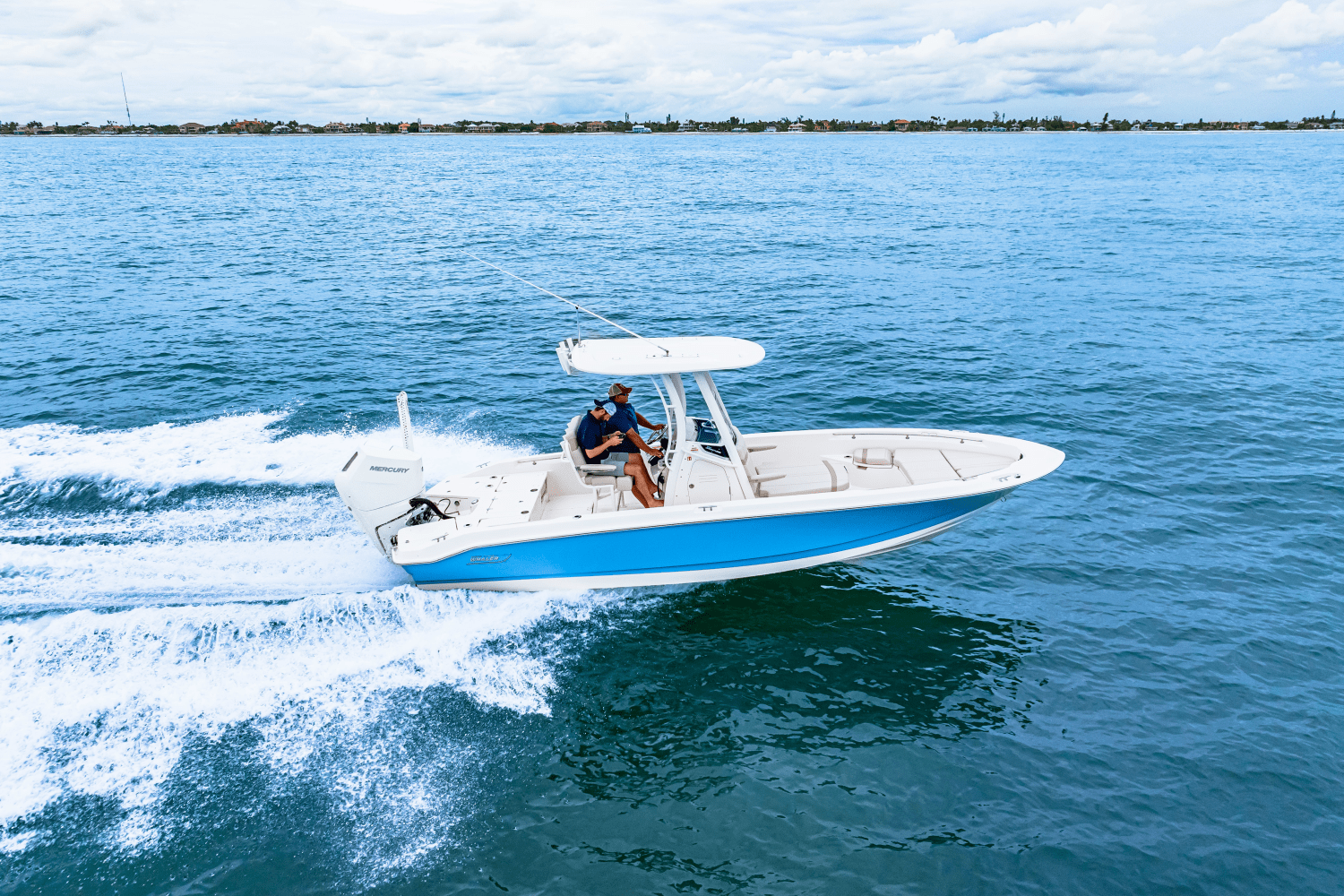 2026 Boston Whaler 250 Dauntless Image Thumbnail #13