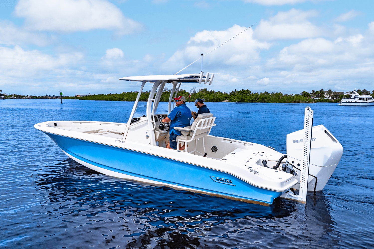 2026 Boston Whaler 250 Dauntless Image Thumbnail #5
