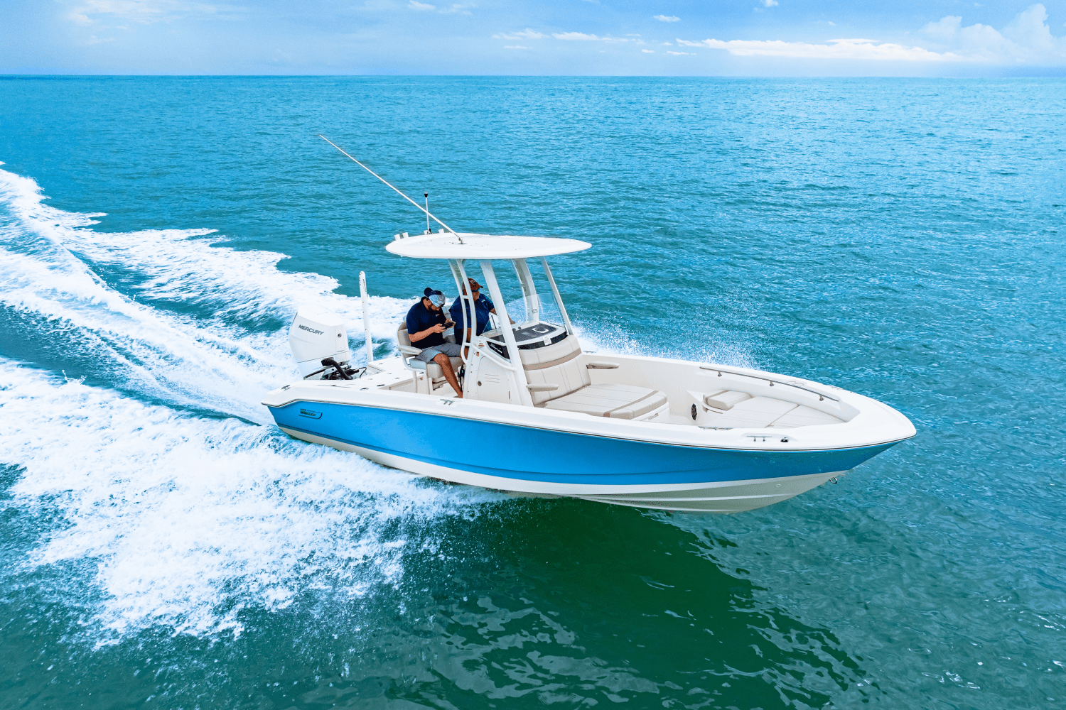 2026 Boston Whaler 250 Dauntless Image Thumbnail #12