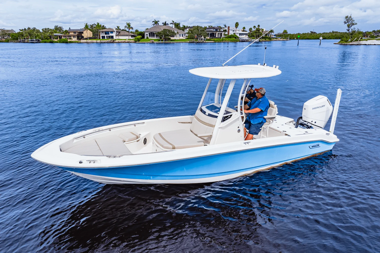 2026 Boston Whaler 250 Dauntless Image Thumbnail #6
