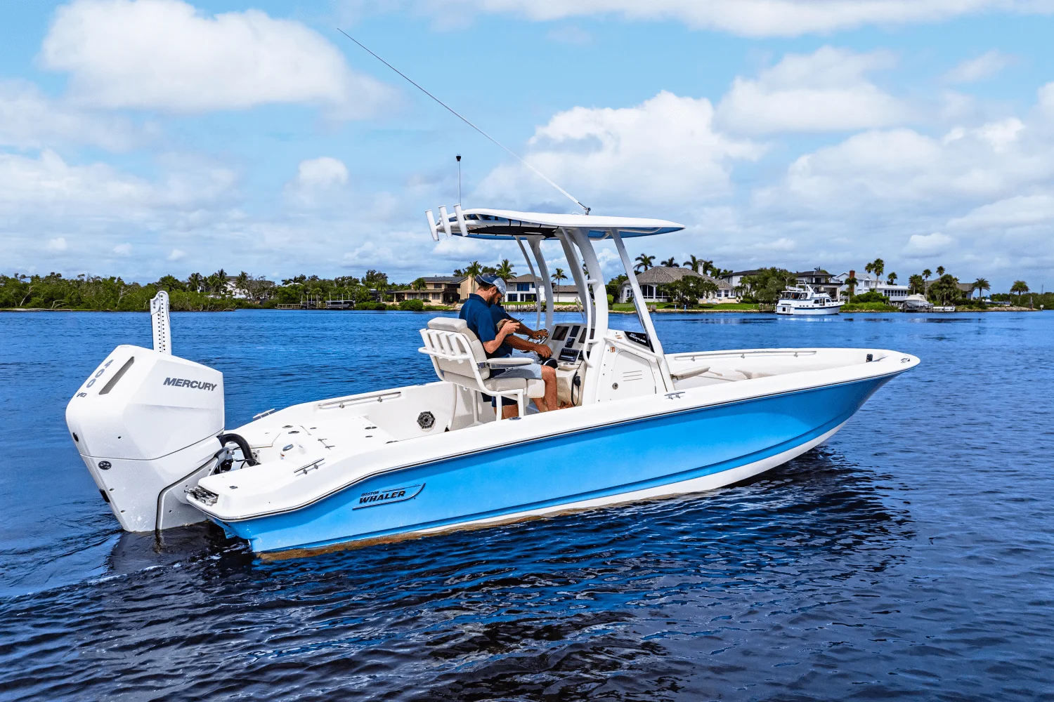 2026 Boston Whaler 250 Dauntless Image Thumbnail #1