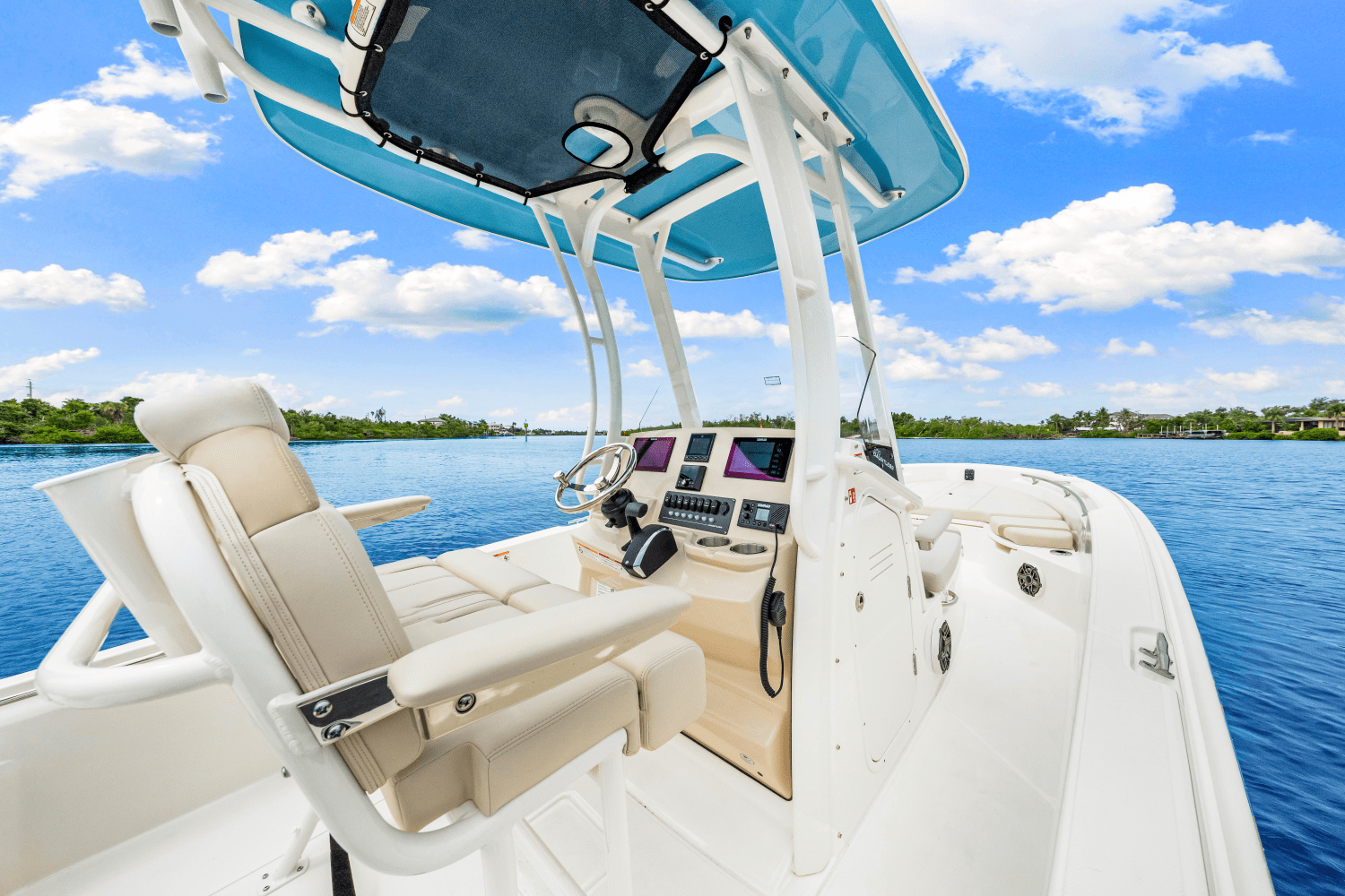 2026 Boston Whaler 250 Dauntless Image Thumbnail #22