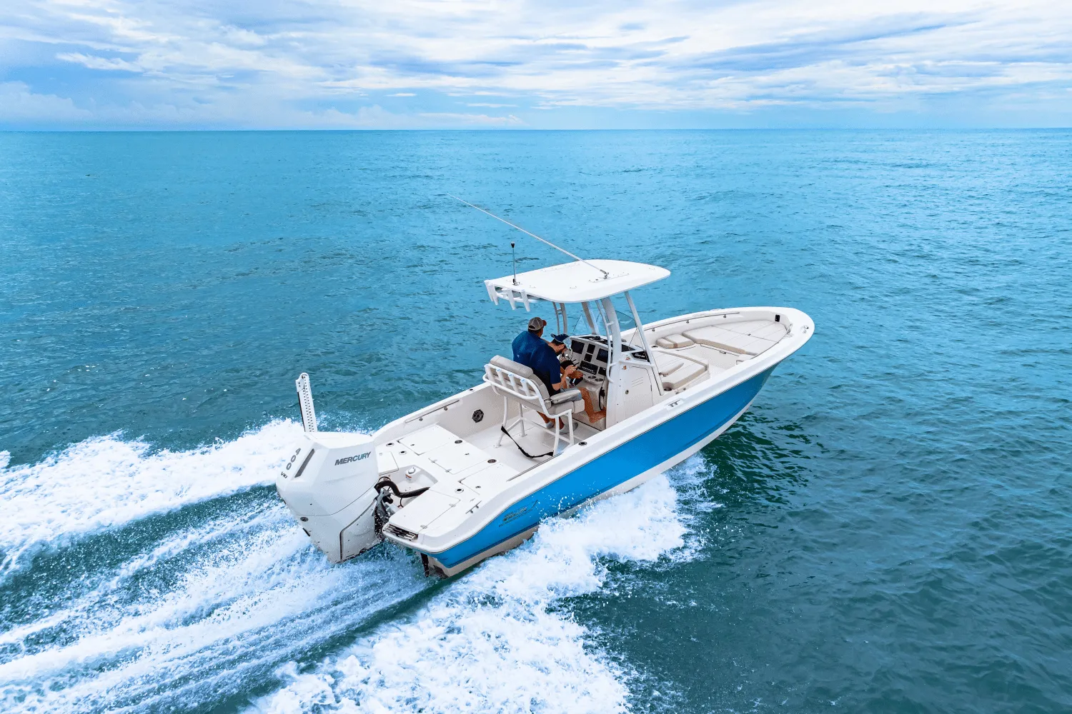 2026 Boston Whaler 250 Dauntless Image Thumbnail #14