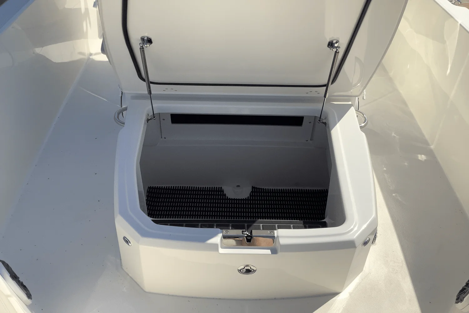 2026 Boston Whaler 250 Dauntless Image Thumbnail #23