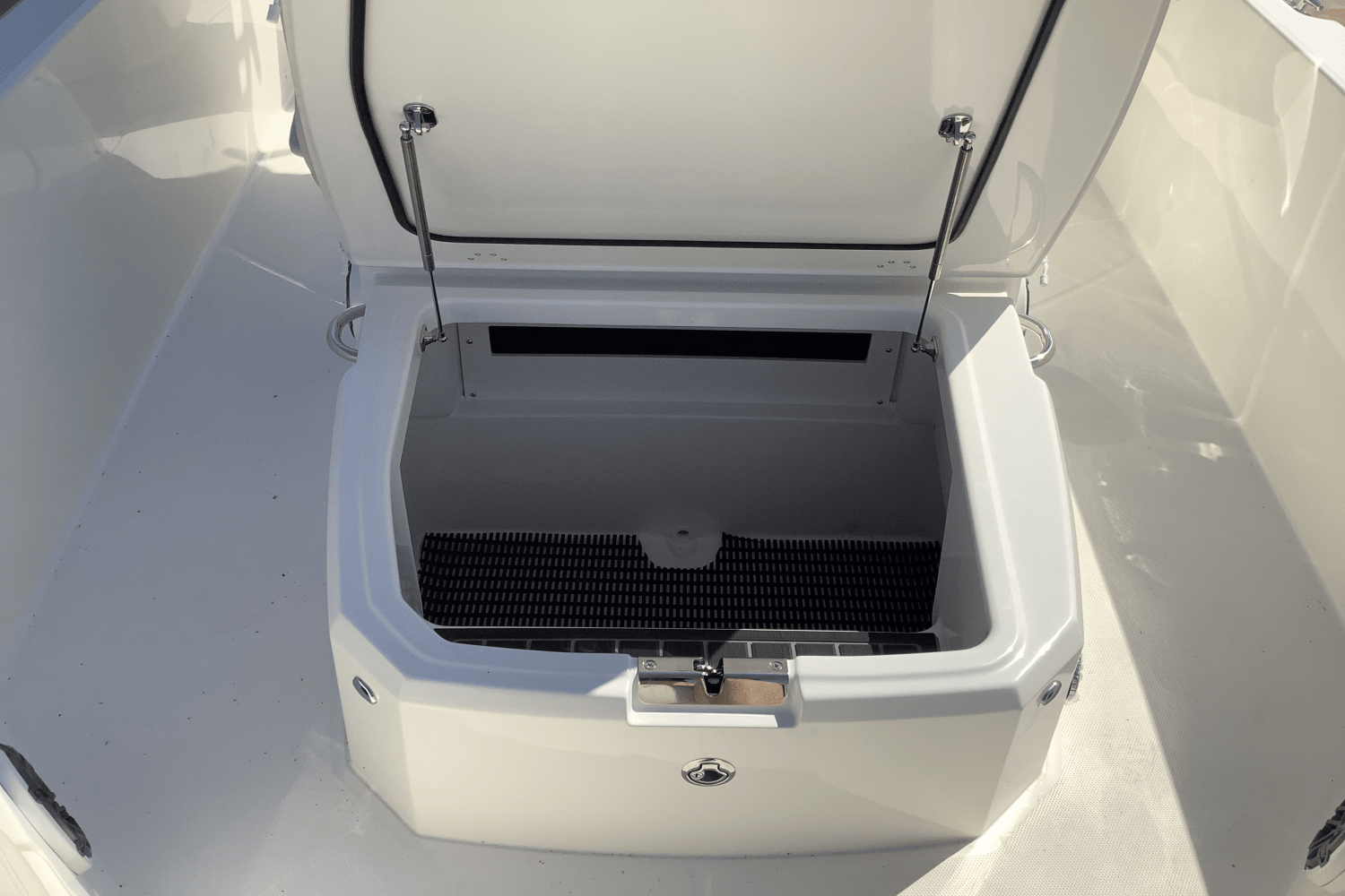 2026 Boston Whaler 250 Dauntless Image Thumbnail #25