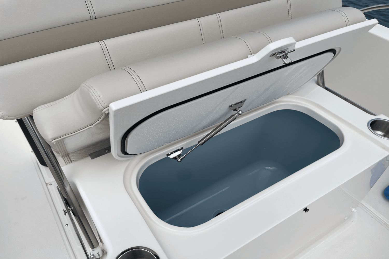 2026 Boston Whaler 250 Dauntless Image Thumbnail #18