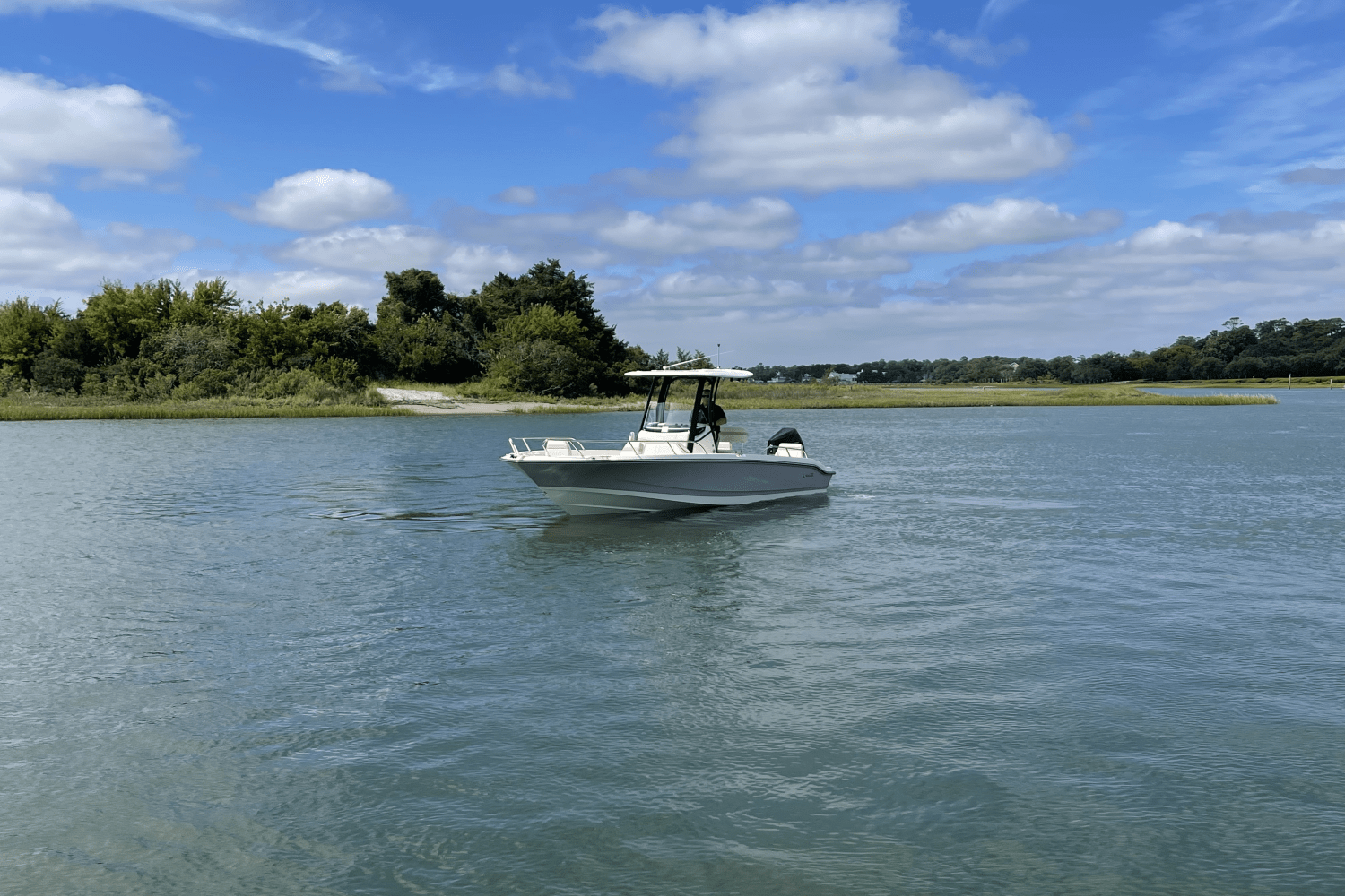 2026 Boston Whaler 250 Dauntless Image Thumbnail #2