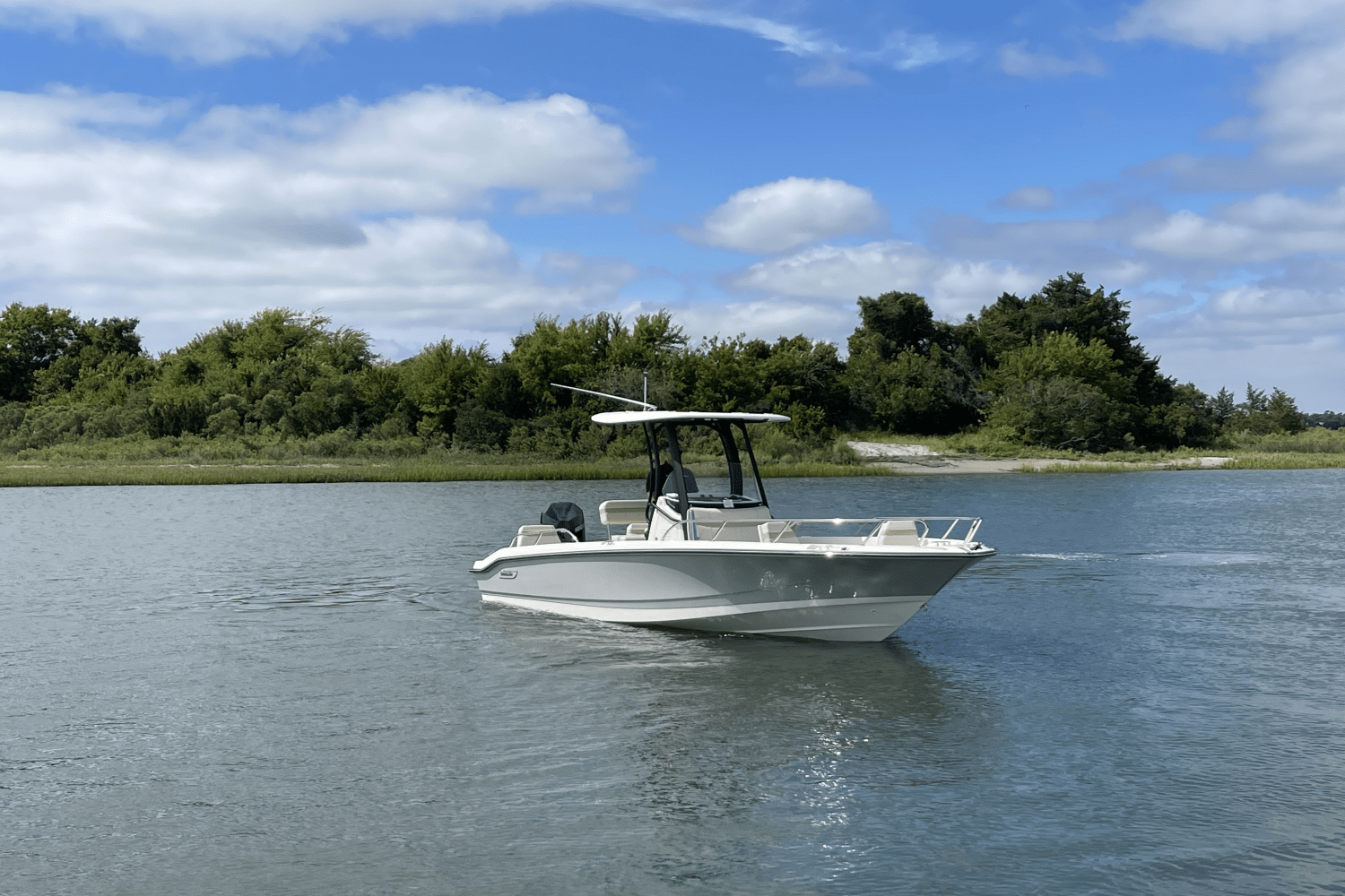 2026 Boston Whaler 250 Dauntless Image Thumbnail #1
