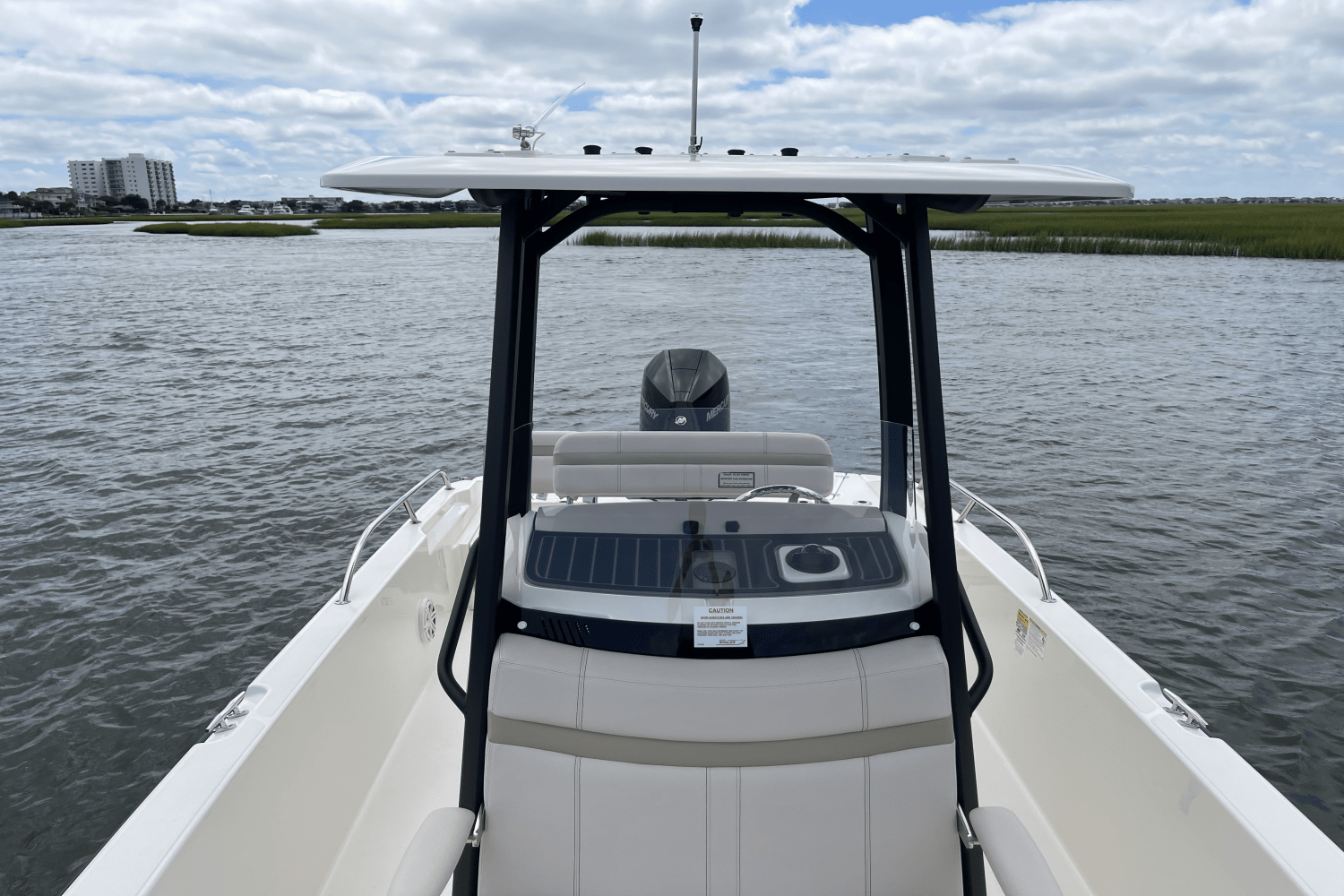 2026 Boston Whaler 250 Dauntless Image Thumbnail #13