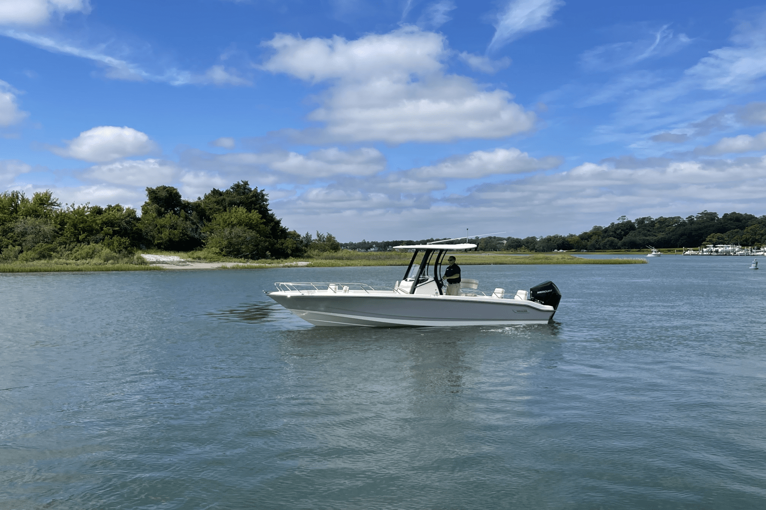 2026 Boston Whaler 250 Dauntless Image Thumbnail #3