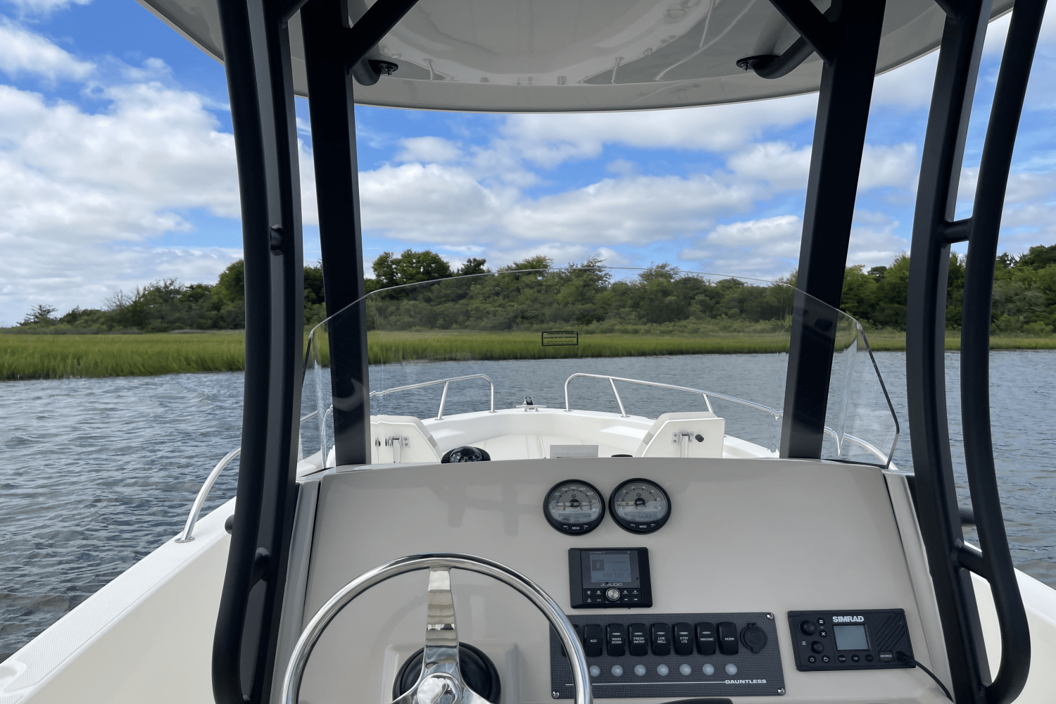 2026 Boston Whaler 250 Dauntless Image Thumbnail #9