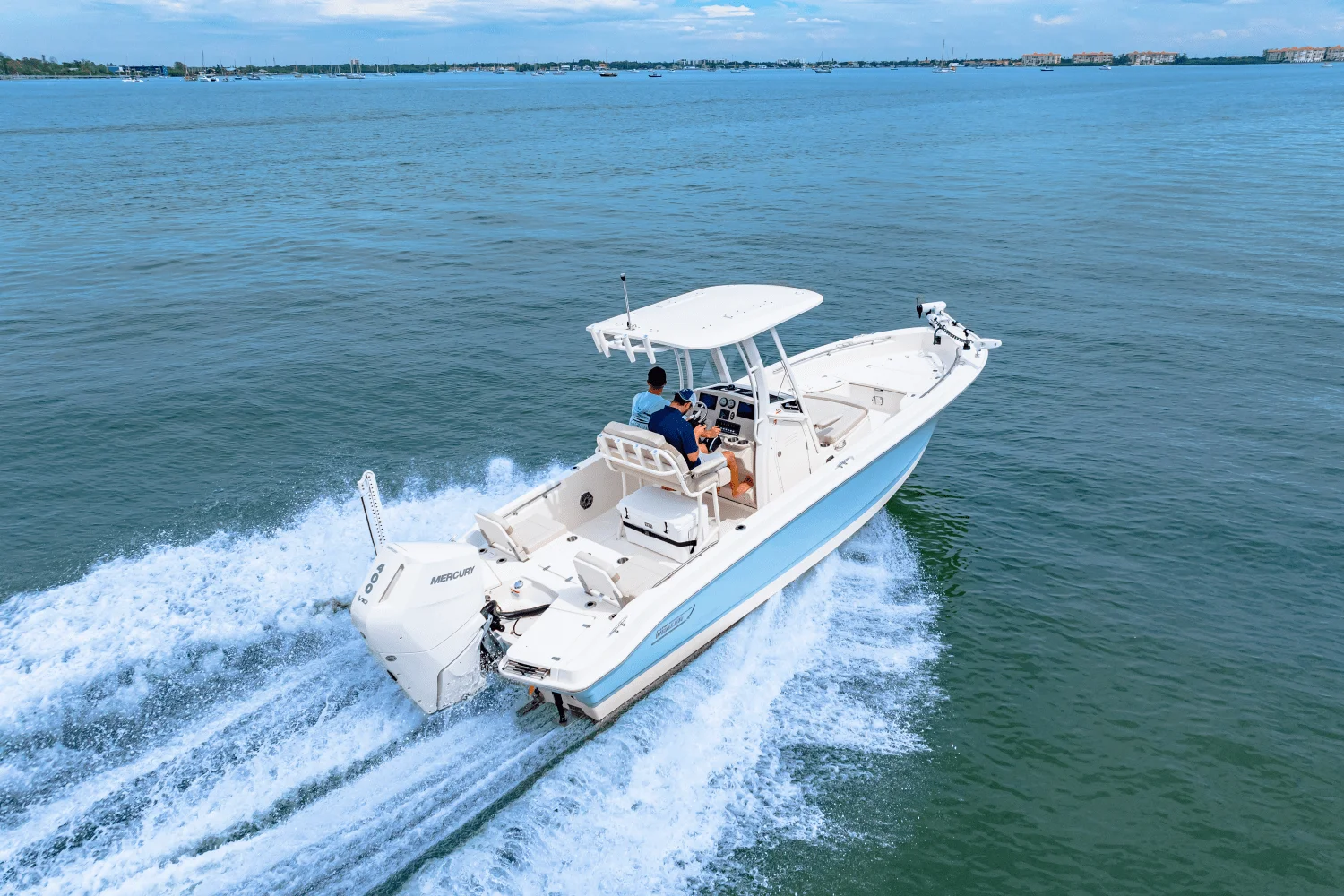 2026 Boston Whaler 250 Dauntless Image Thumbnail #22