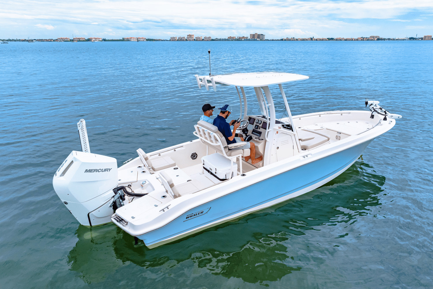 2026 Boston Whaler 250 Dauntless Image Thumbnail #10