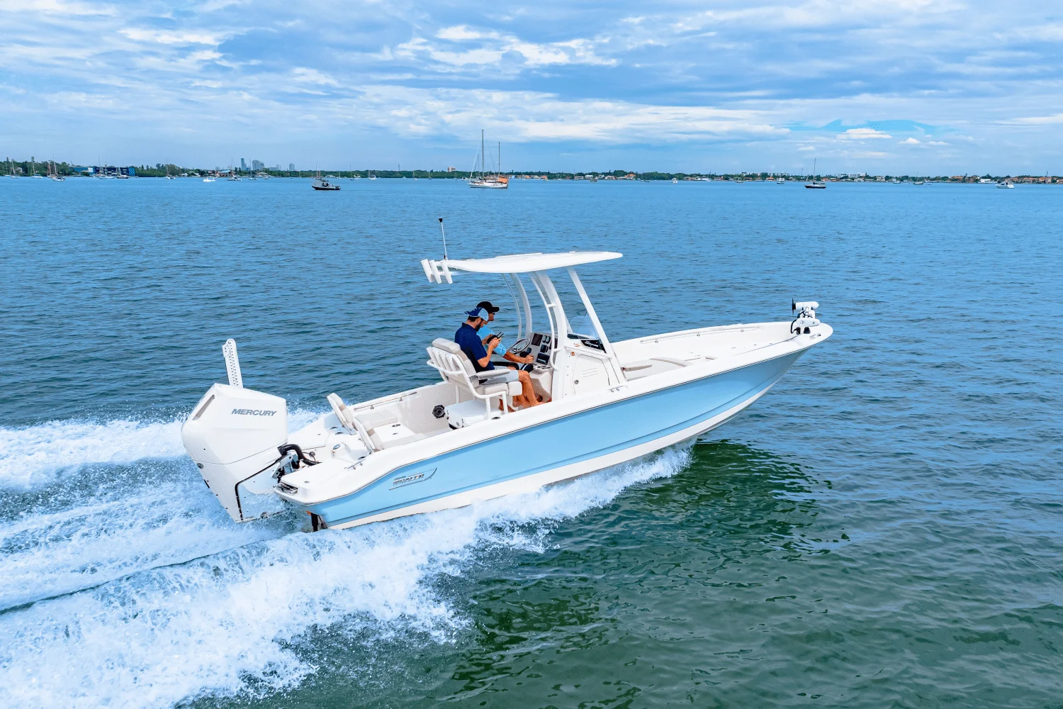 2026 Boston Whaler 250 Dauntless Image Thumbnail #21
