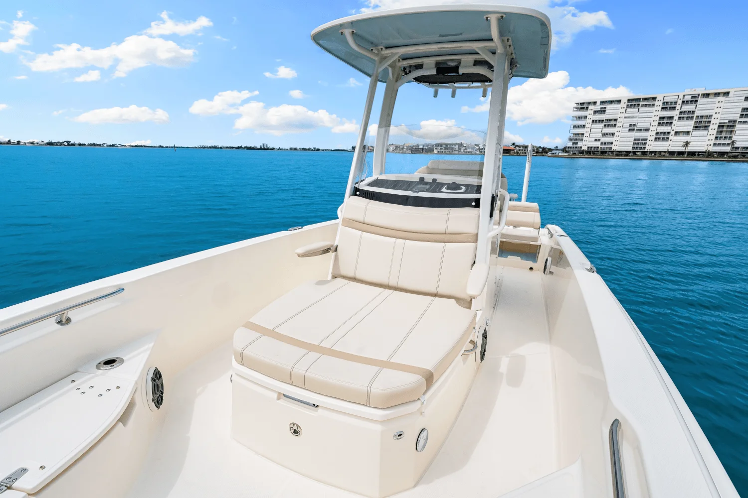 2026 Boston Whaler 250 Dauntless Image Thumbnail #48