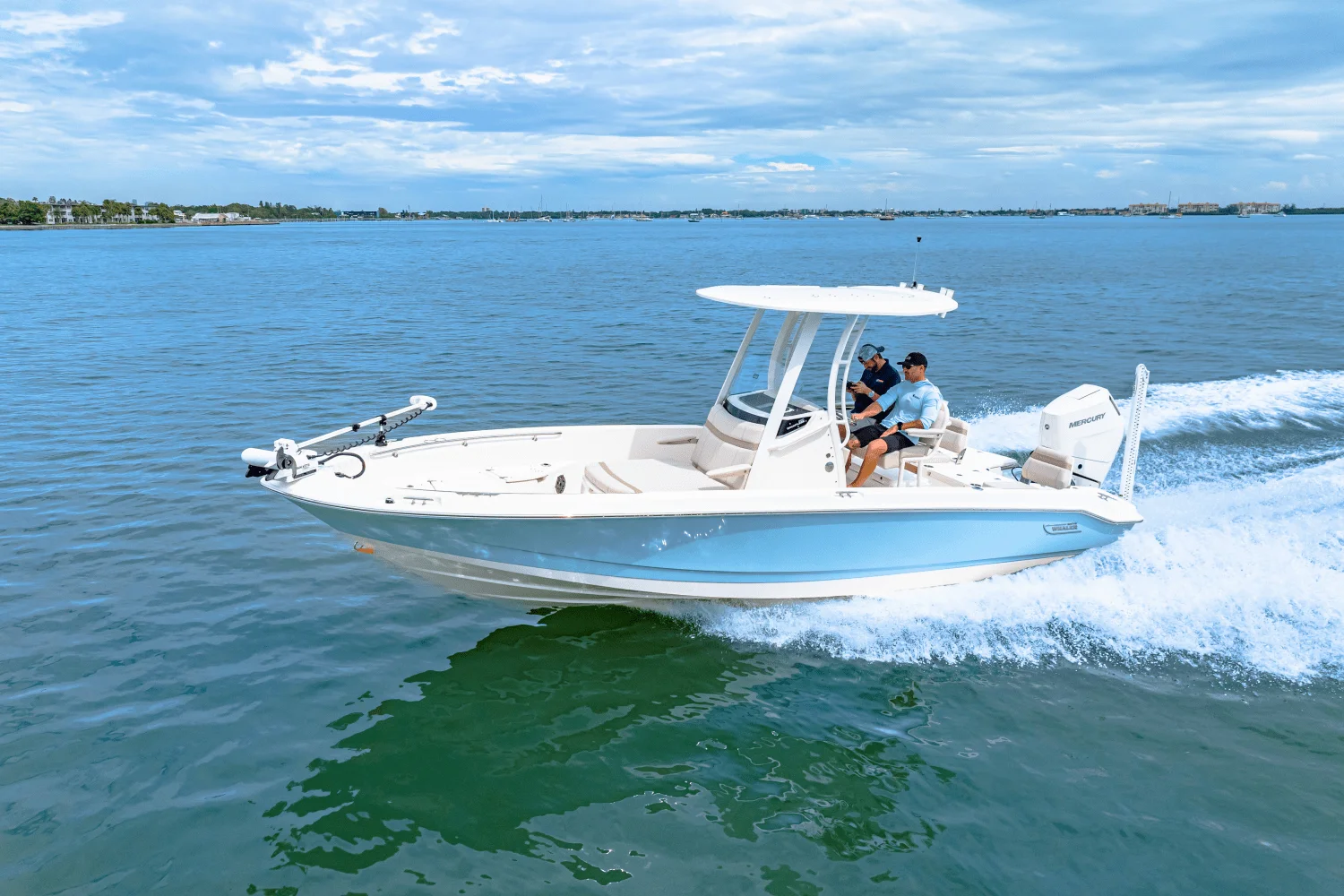 2026 Boston Whaler 250 Dauntless Image Thumbnail #25