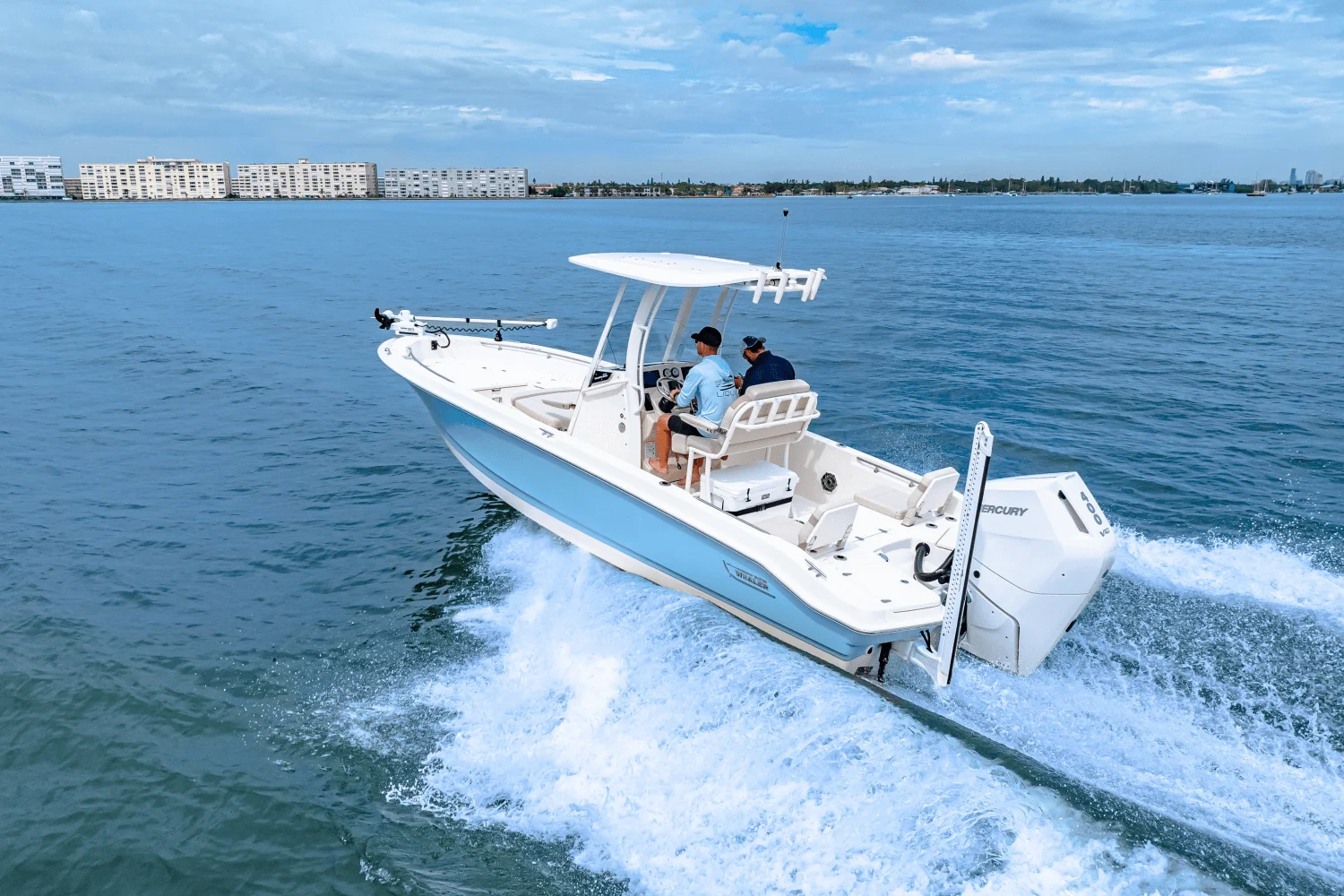 2026 Boston Whaler 250 Dauntless Image Thumbnail #27