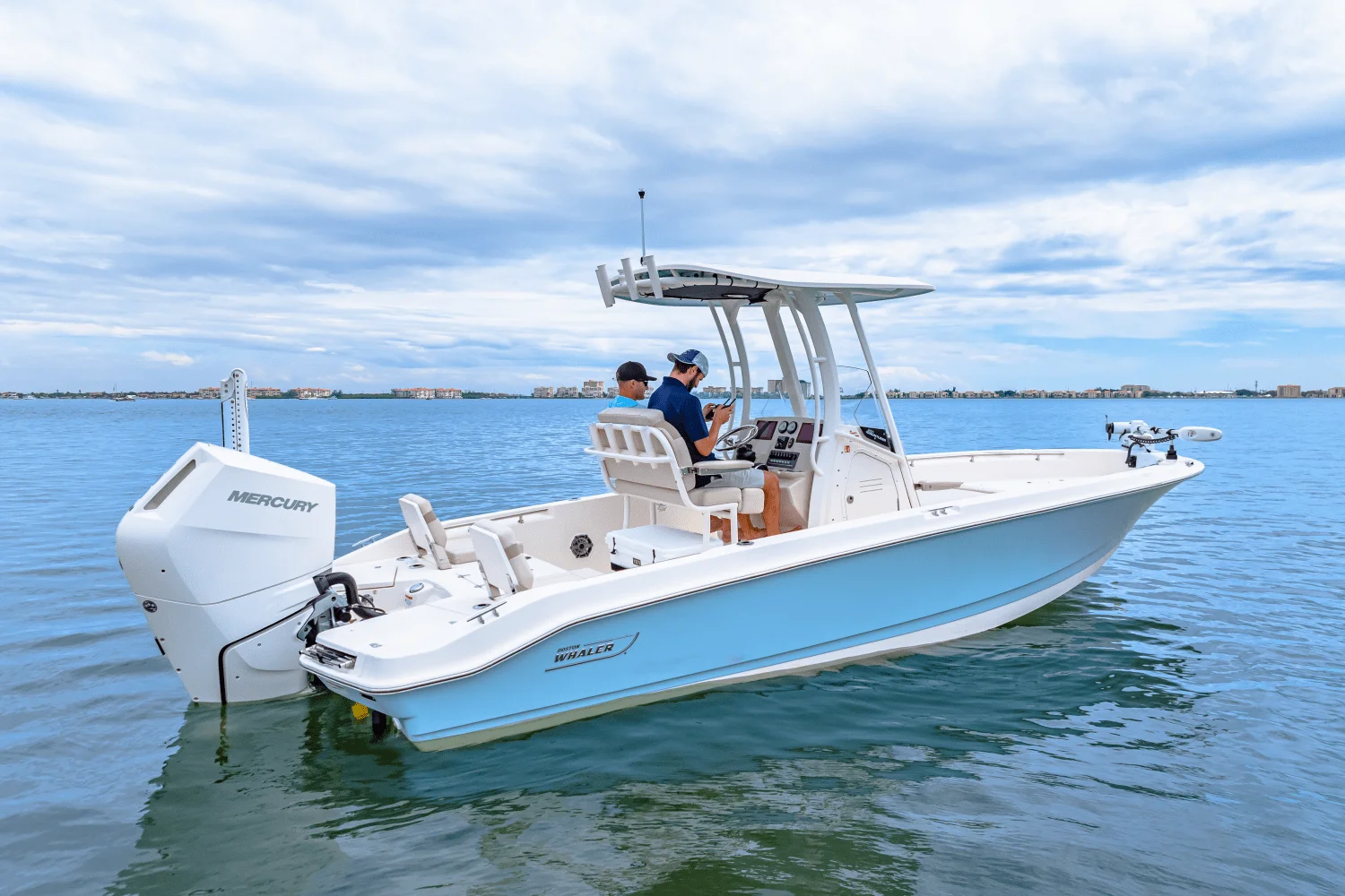 2026 Boston Whaler 250 Dauntless Image Thumbnail #12
