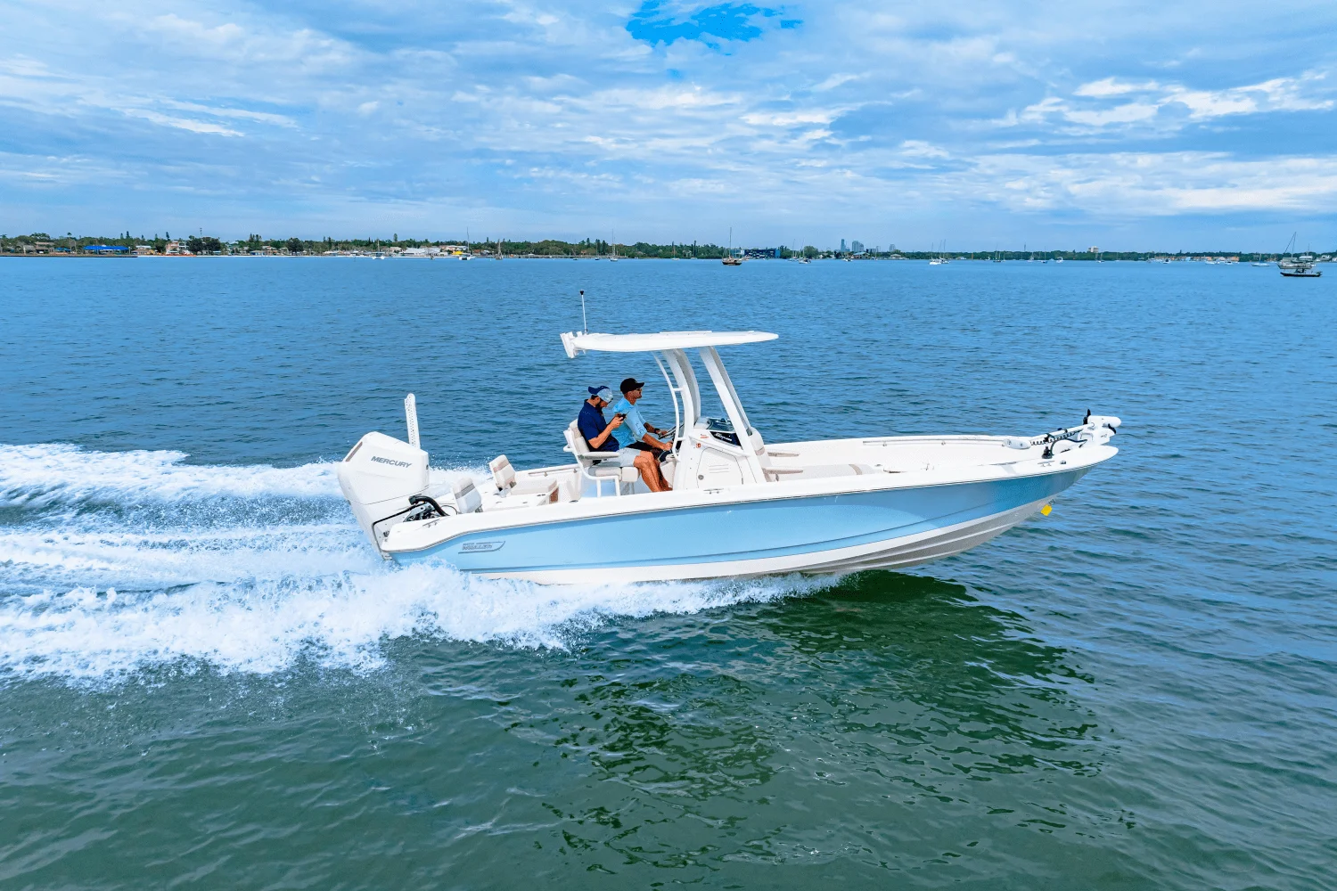2026 Boston Whaler 250 Dauntless Image Thumbnail #20