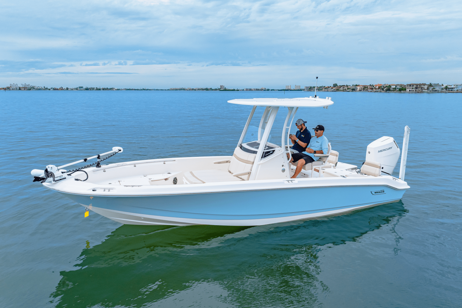 2026 Boston Whaler 250 Dauntless Image Thumbnail #2