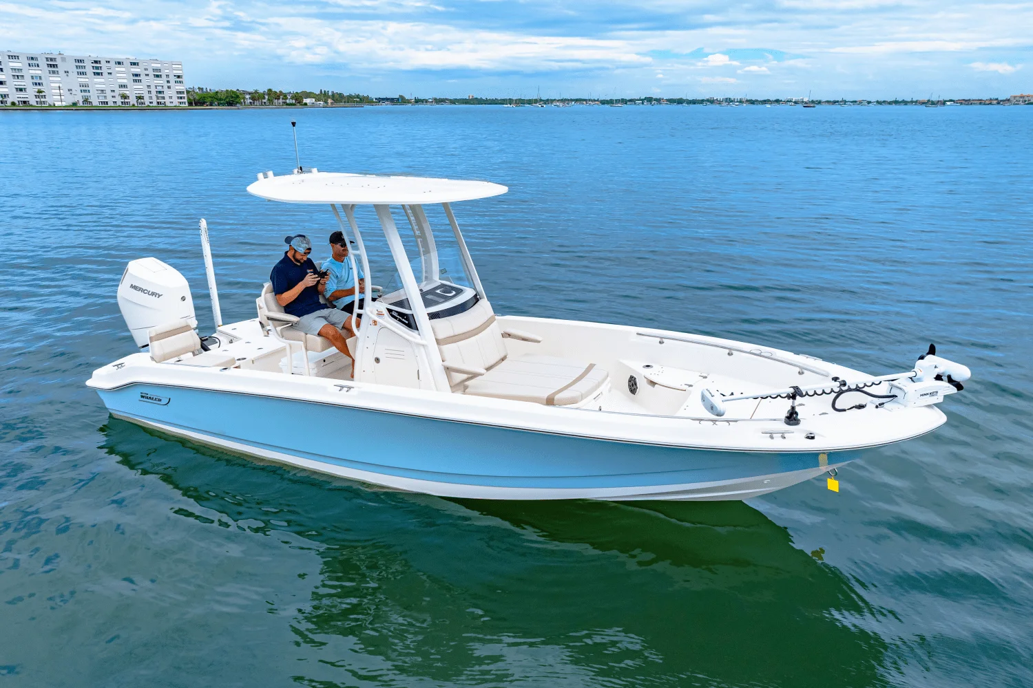 2026 Boston Whaler 250 Dauntless Image Thumbnail #15