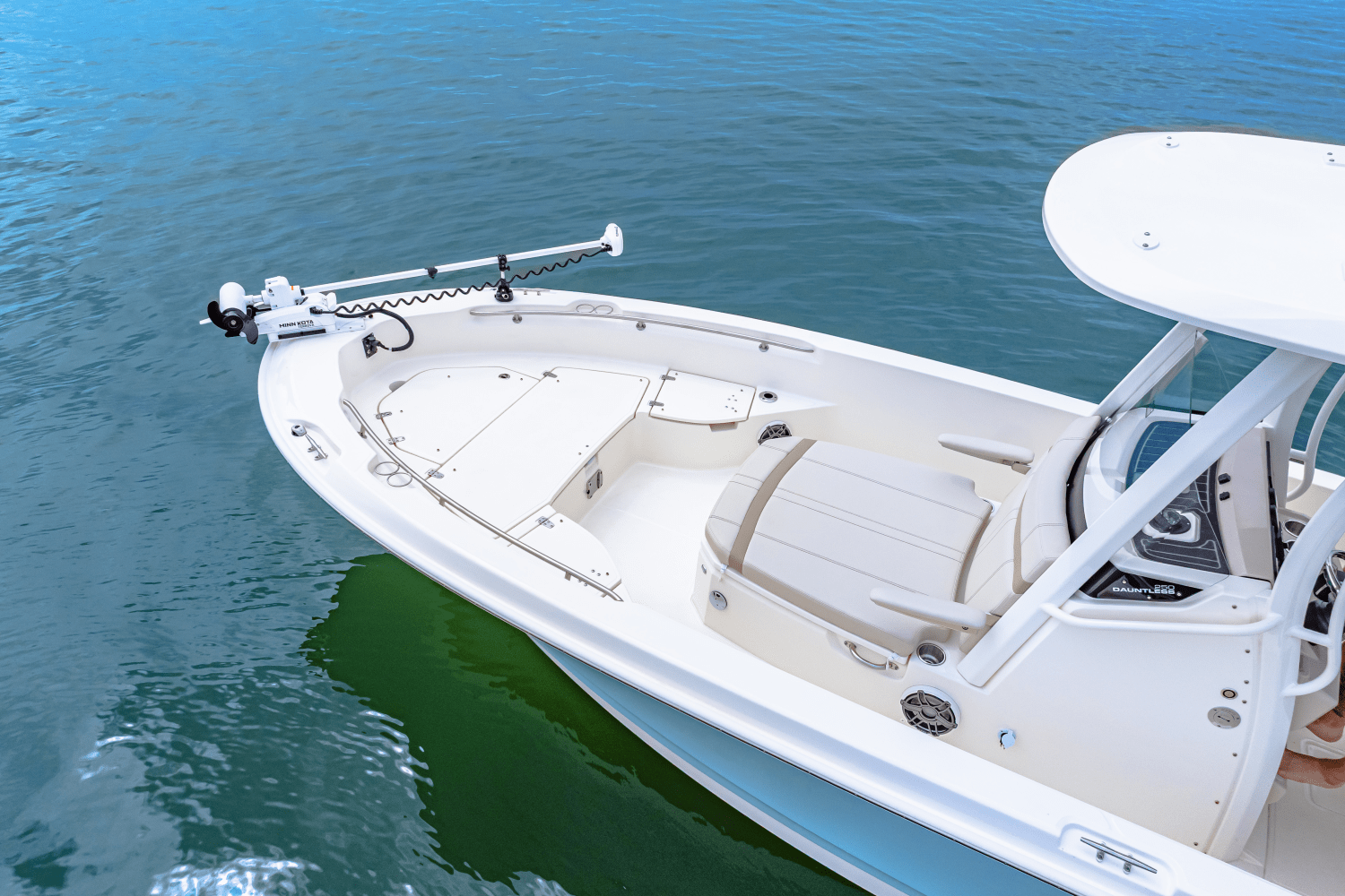 2026 Boston Whaler 250 Dauntless Image Thumbnail #5