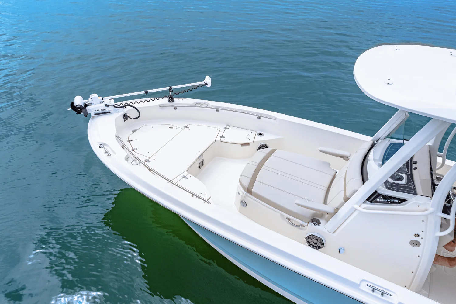 2026 Boston Whaler 250 Dauntless Image Thumbnail #5