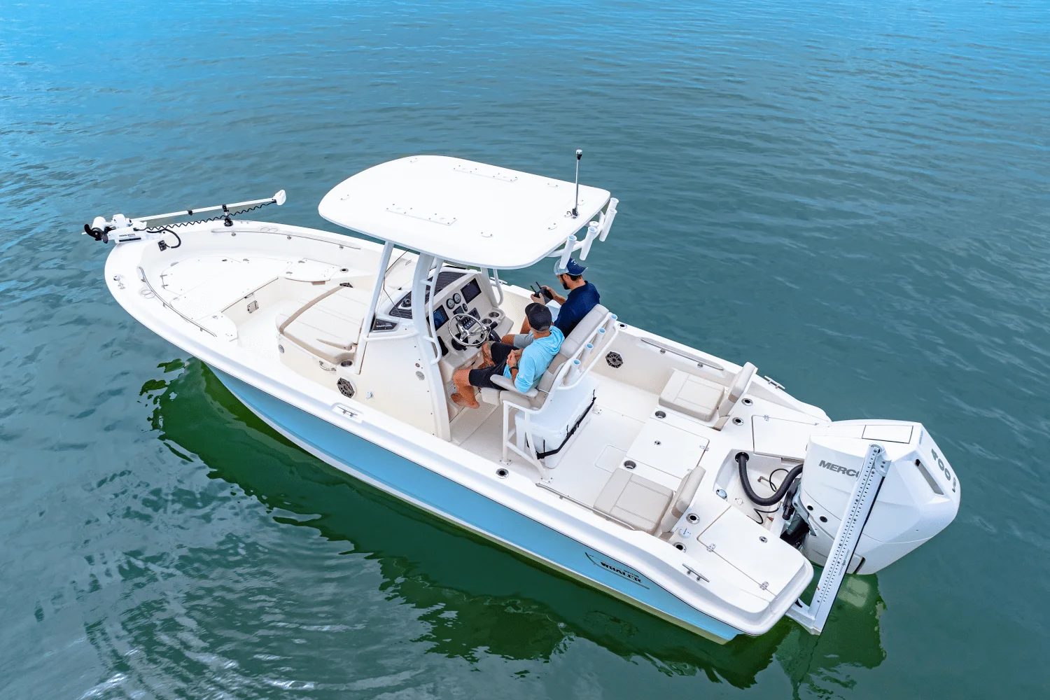 2026 Boston Whaler 250 Dauntless Image Thumbnail #8