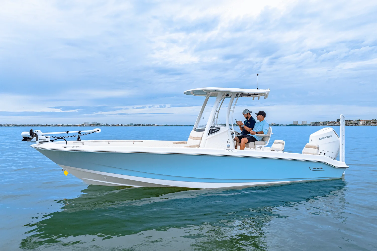 2026 Boston Whaler 250 Dauntless Image Thumbnail #1
