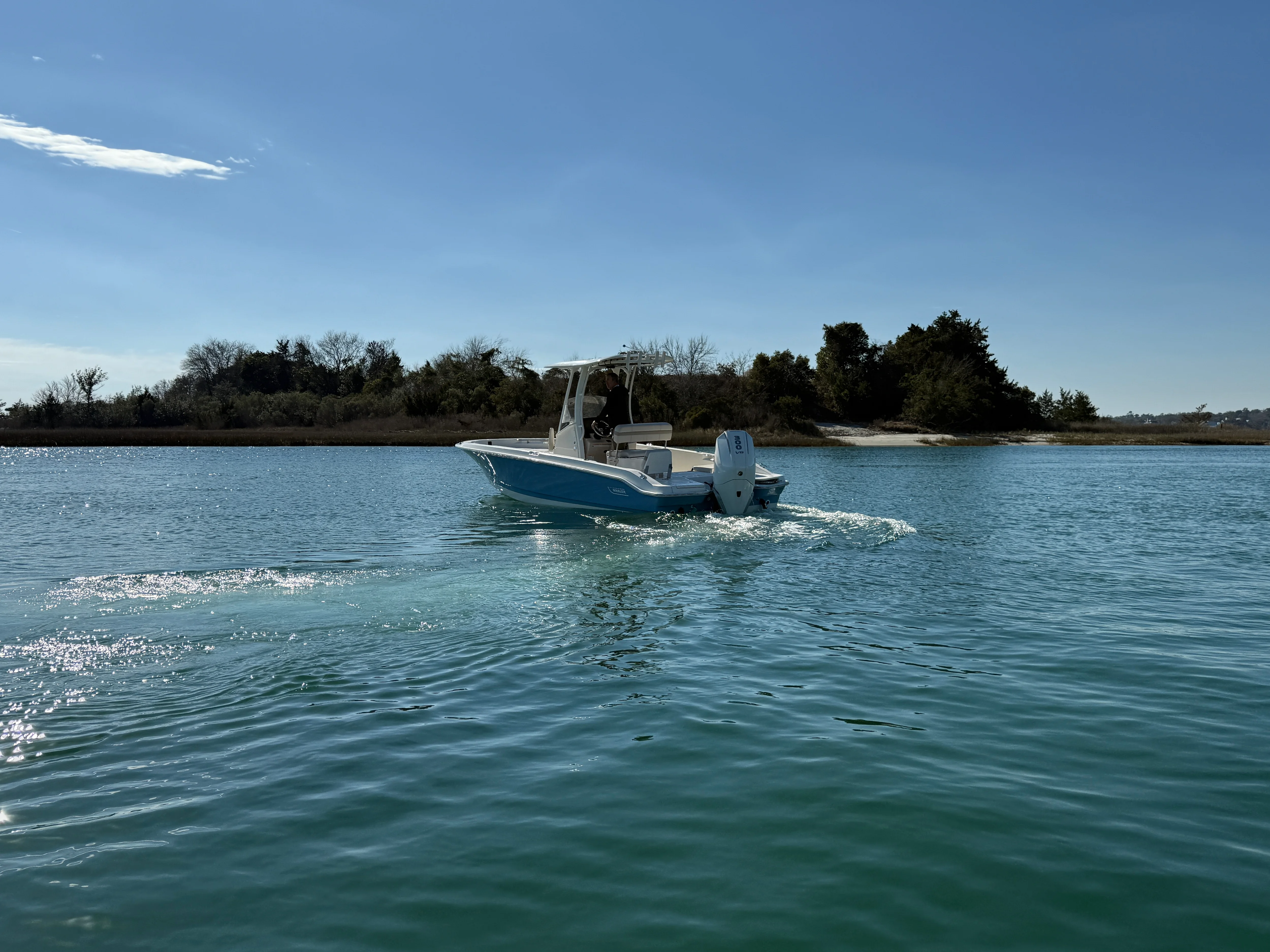 2026 Boston Whaler 250 Dauntless Image Thumbnail #2